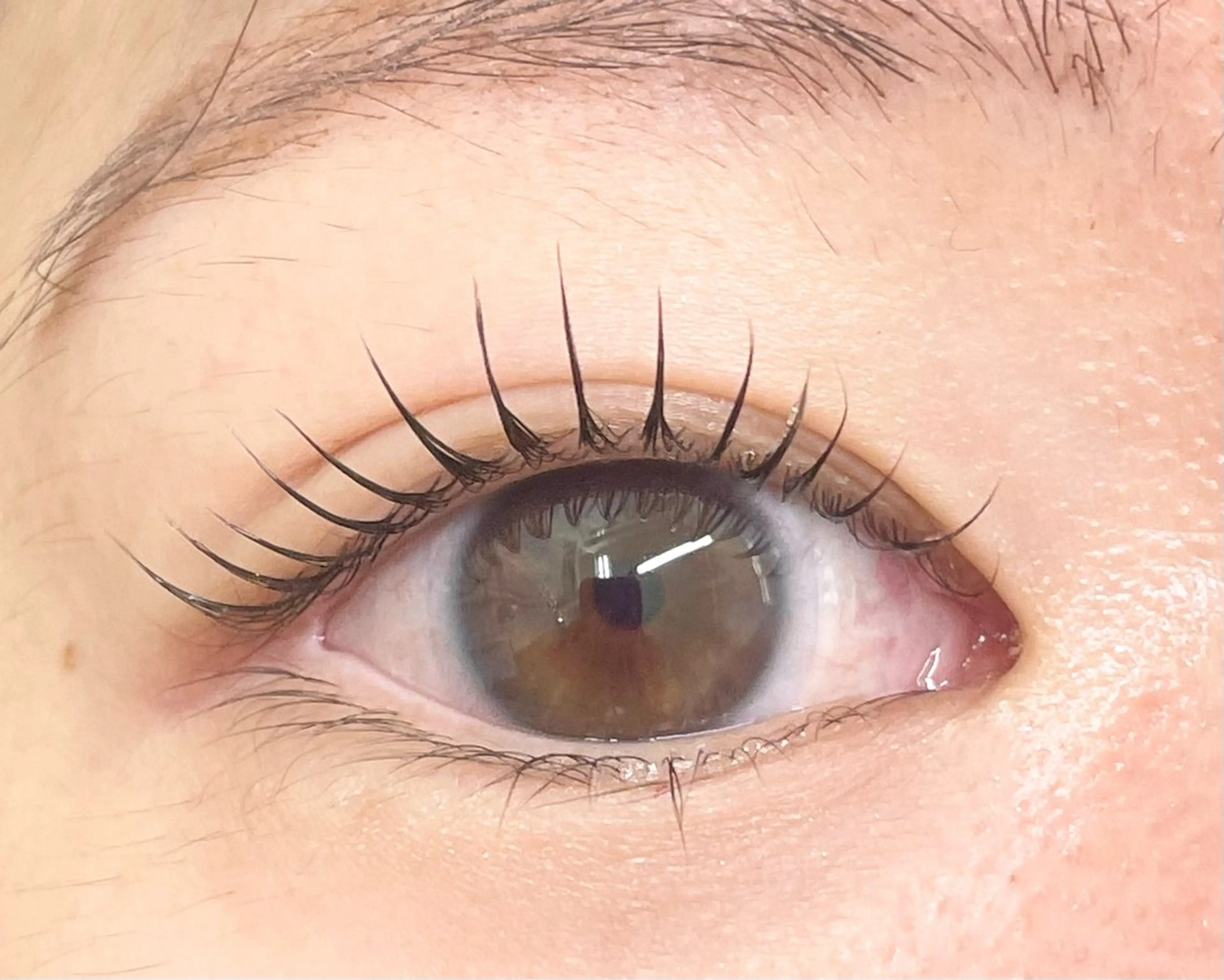 マツエク・マツパ glitter 京橋駅徒歩 1分のその他イメージ