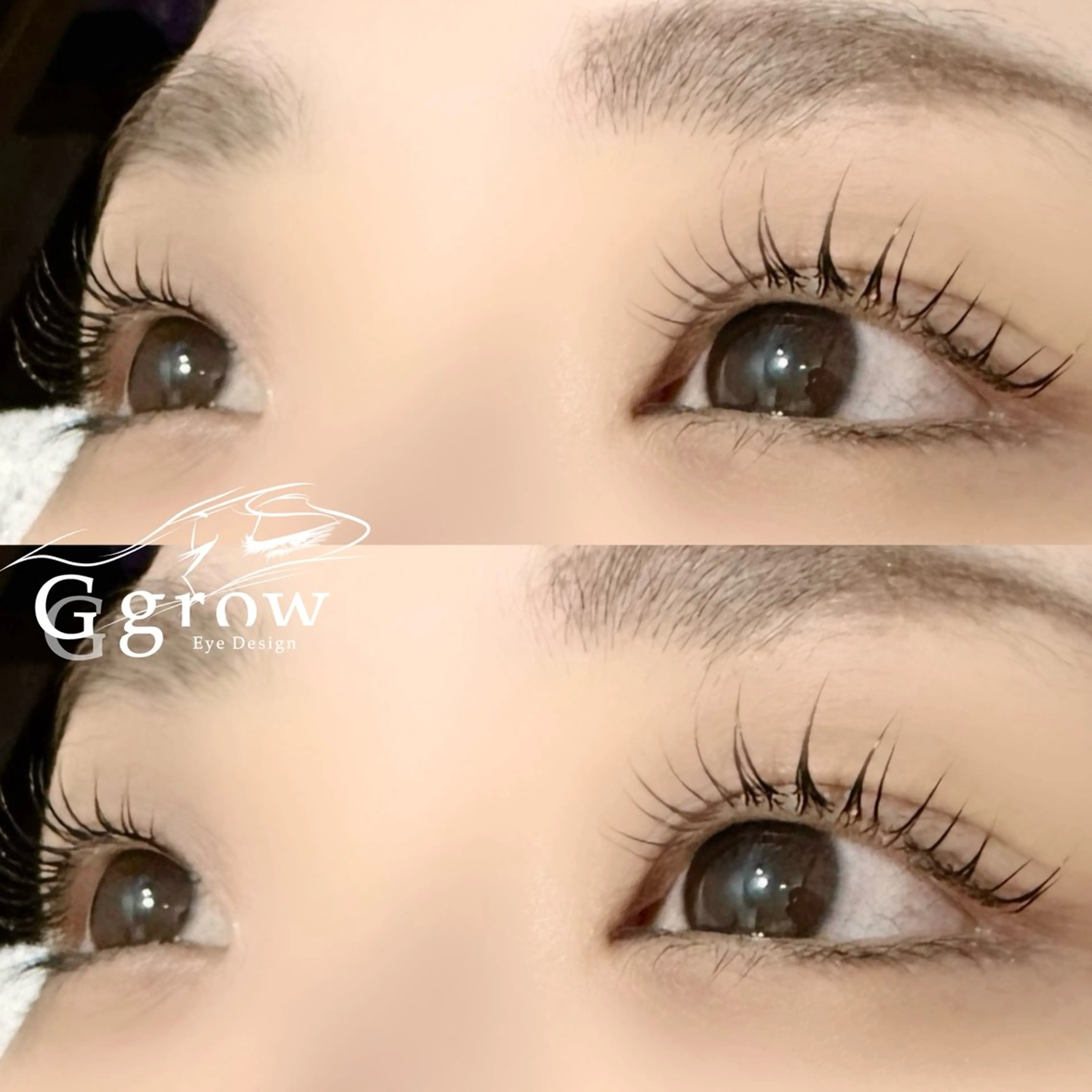 ãããšã¯ã»ããã ããã ðð ð«ðšð° ððŠðšðŠðšã®ãããšã¯ã»ããããã¶ã€ã³