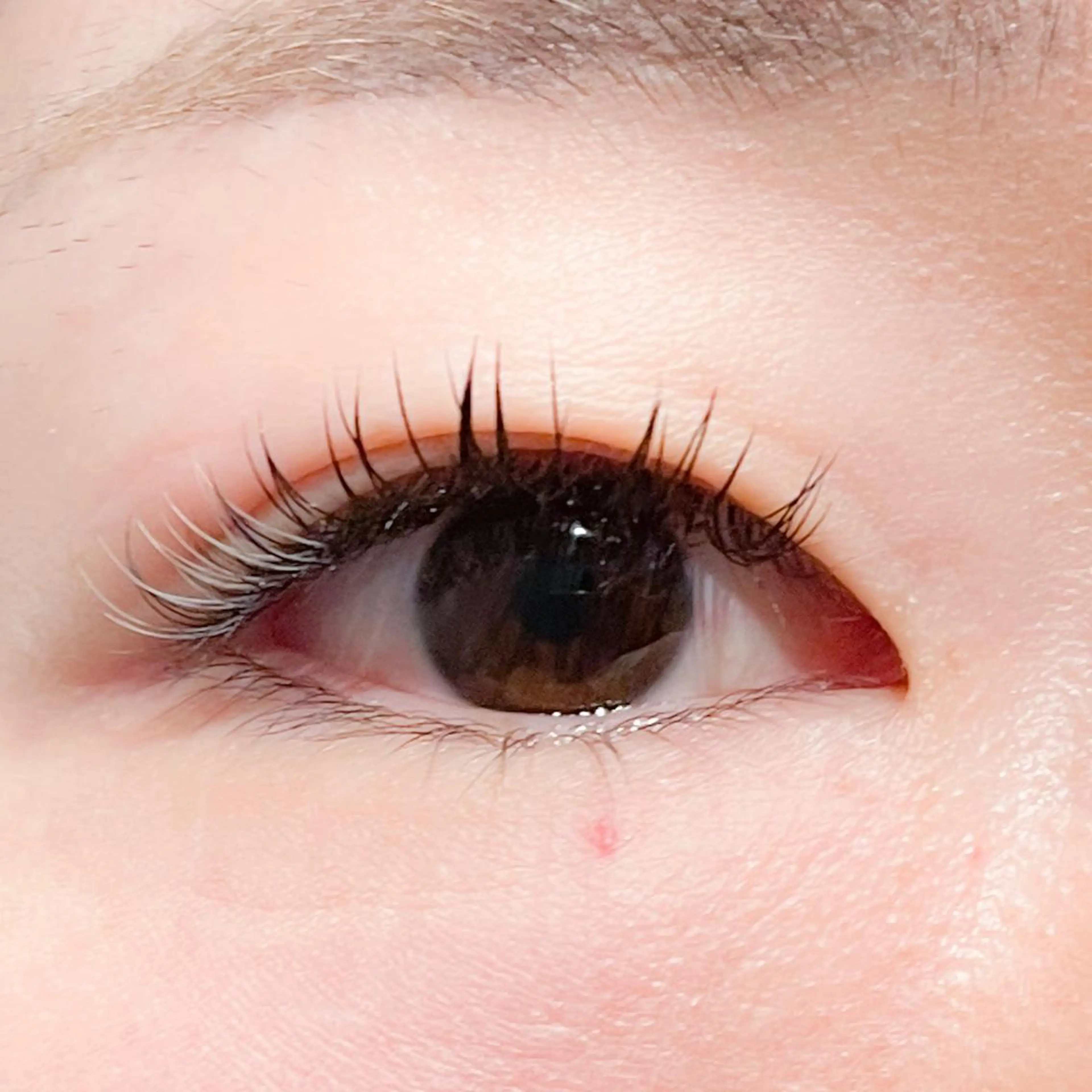 マツエク・マツパ 飯田/Tomo's HairDesignのマツエク・マツパデザイン