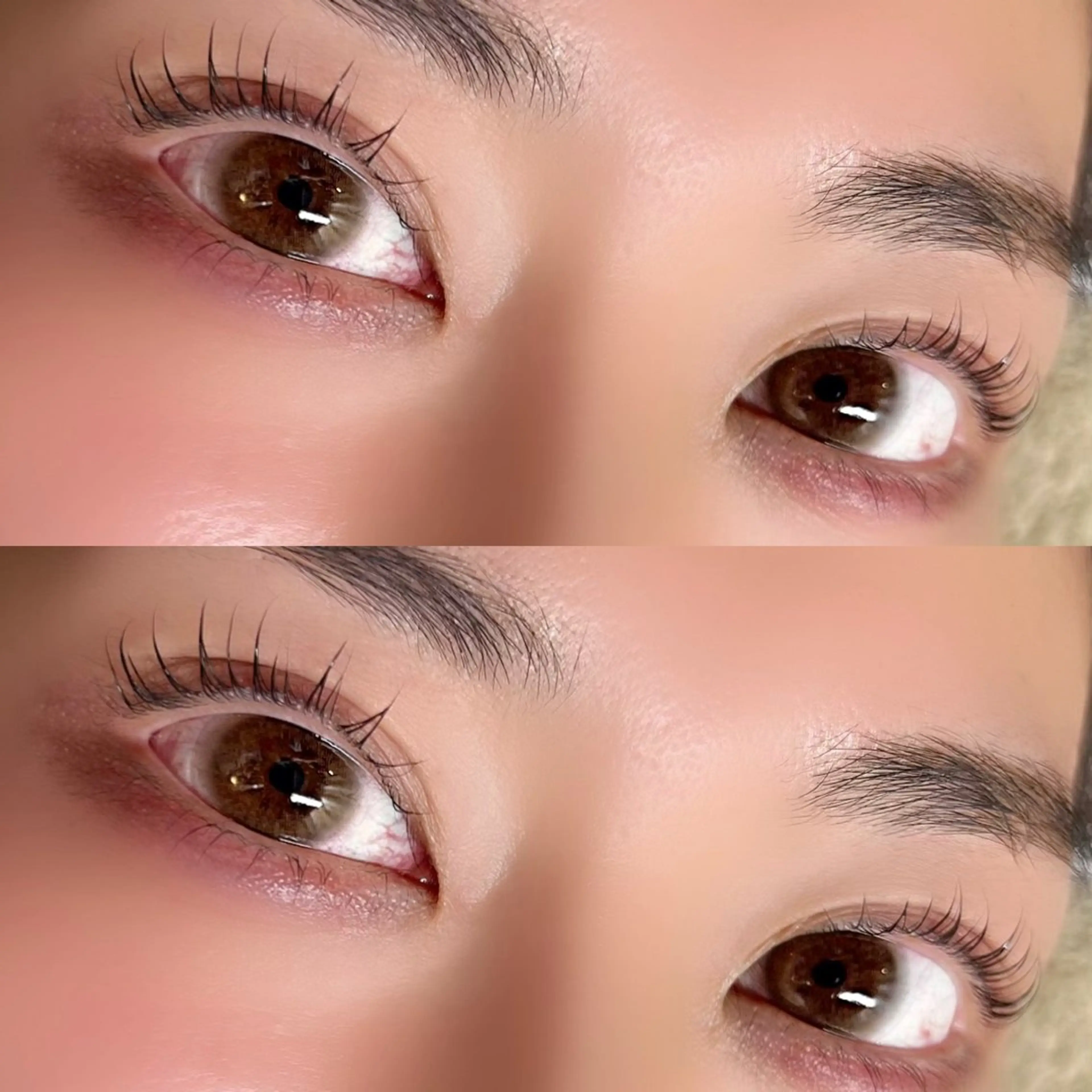 マツエク・マツパ パリジェンヌラッシュリフト マティーニ AYAKAの眉毛・アイブロウイメージ