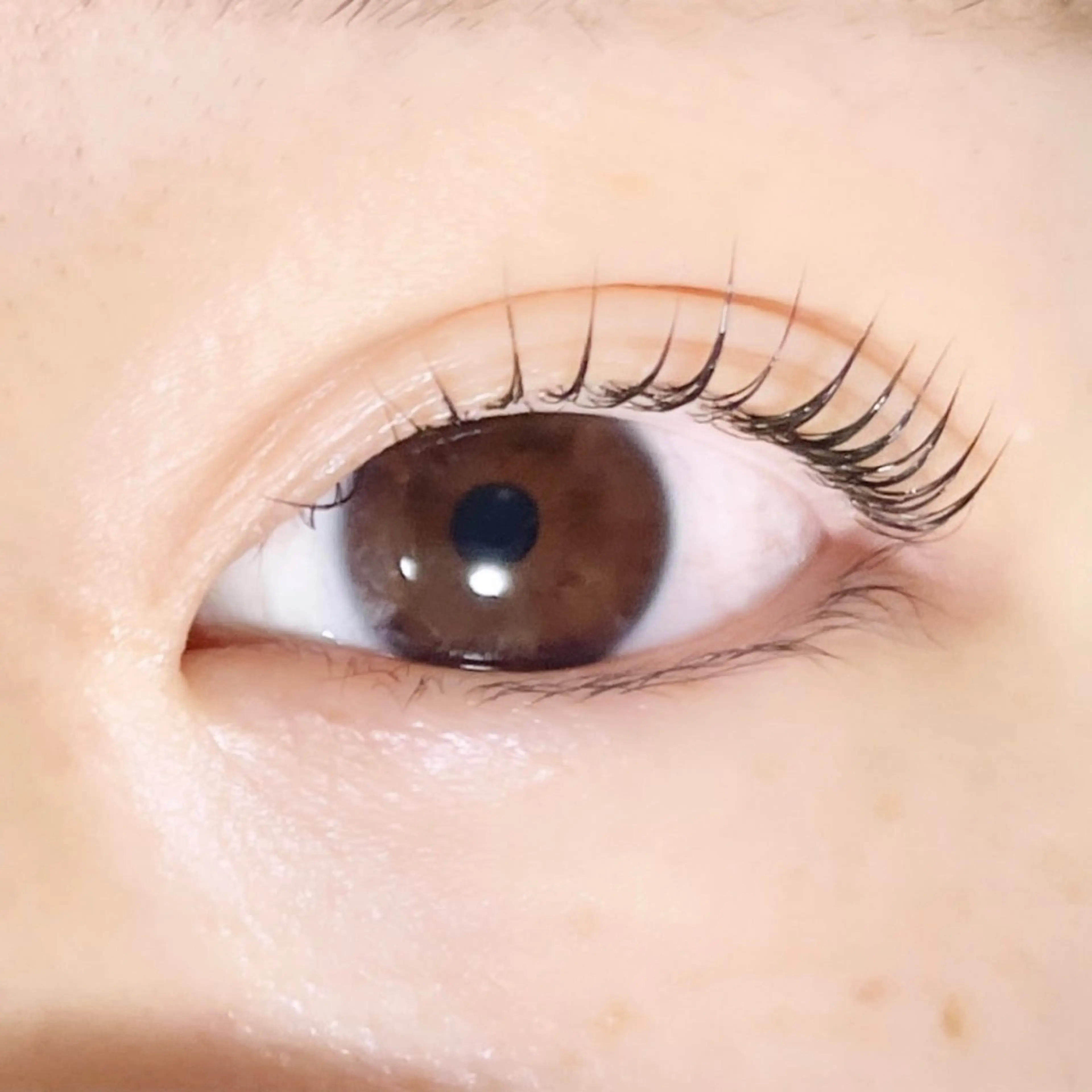 マツエク・マツパ TAKEO🖤 マリーテレジア藤が丘のマツエク・マツパデザイン