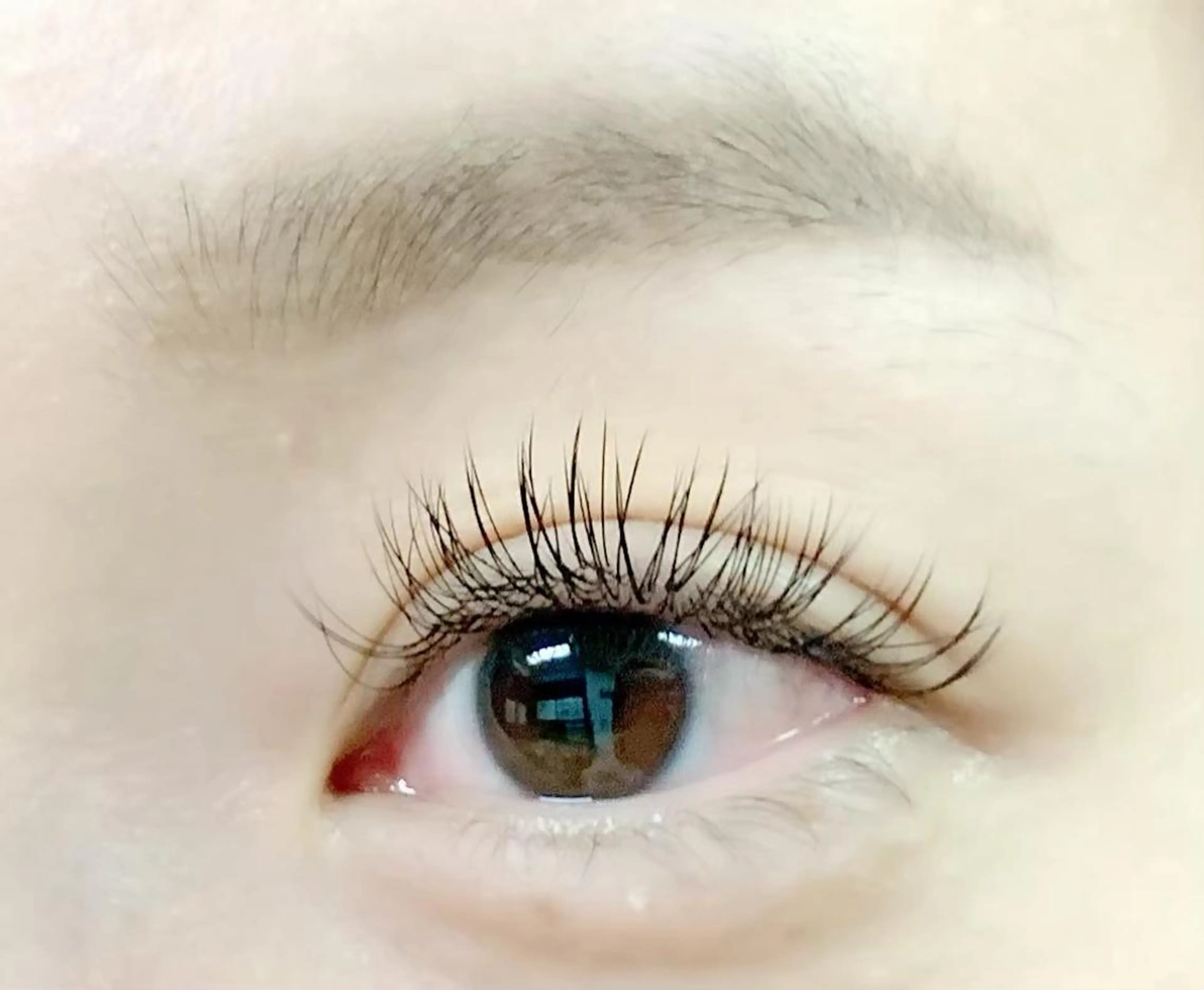 【期間限定🧡‬】フラットラッシュ100本の写真