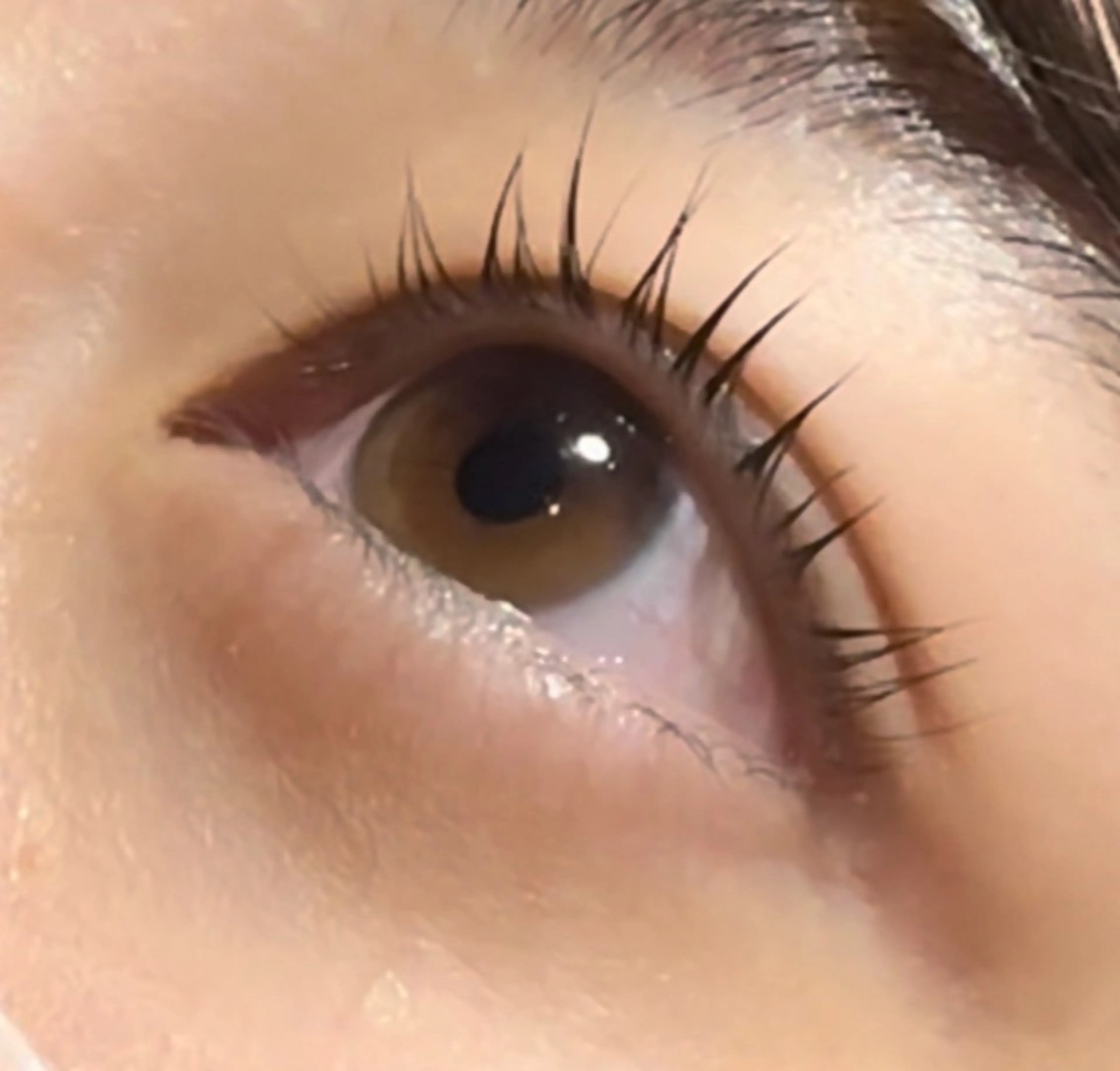 マツエク・マツパ パリジェンヌラッシュリフト 🦋きつない みゆ🦋のマツエク・マツパデザイン