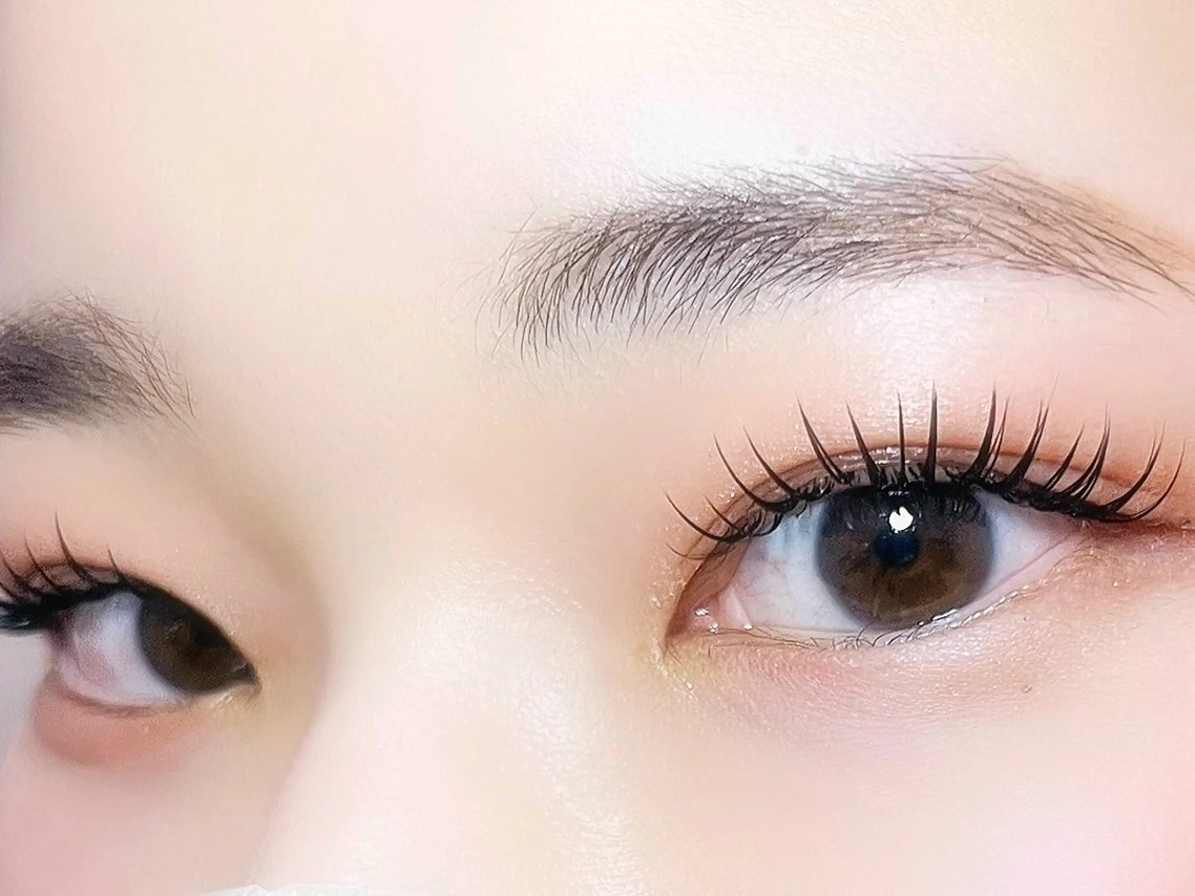 LEDフラットラッシュ（100本）の写真