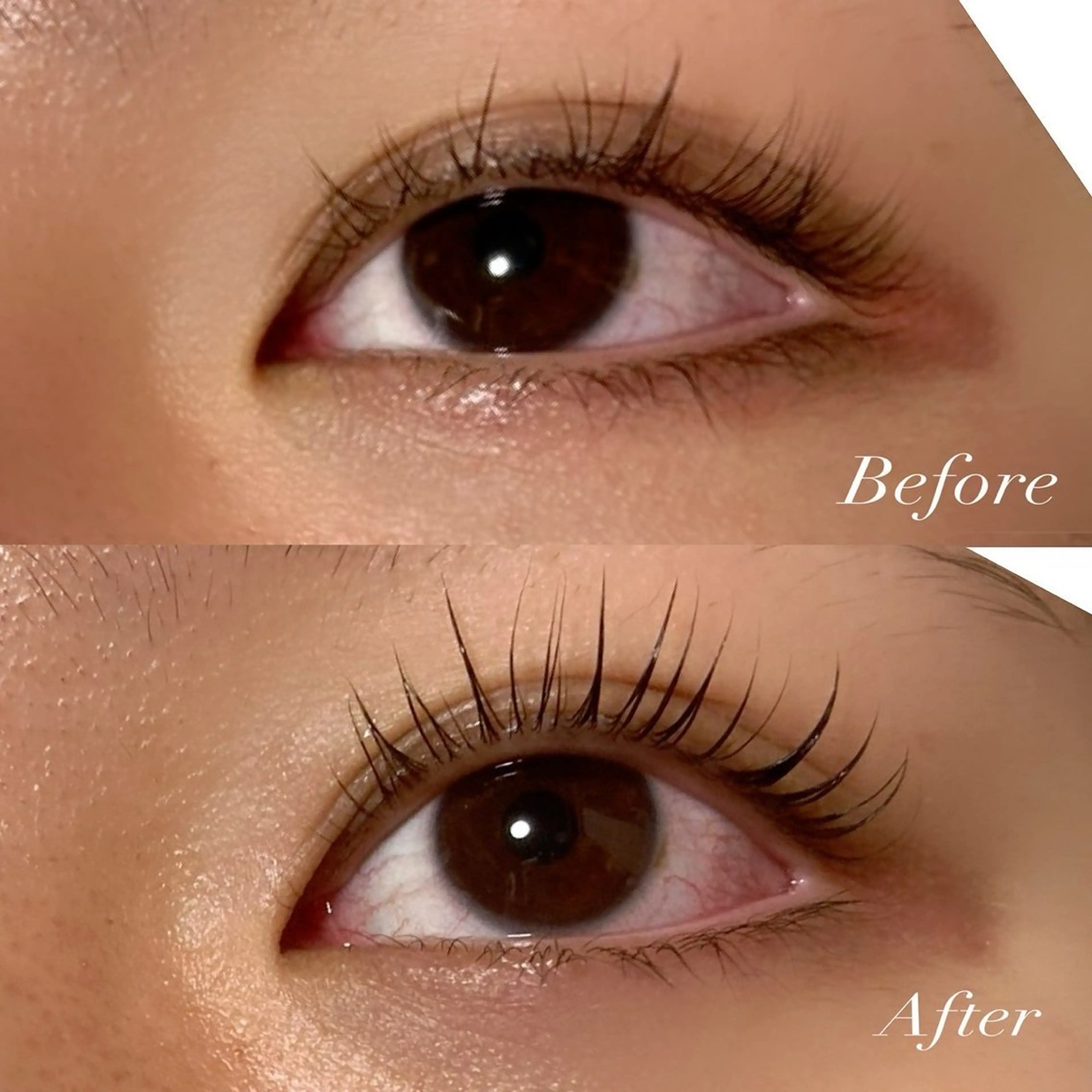 マツエク・マツパ マツパ Bee-eye's所属・Bee eye'sのマツエク・マツパデザイン