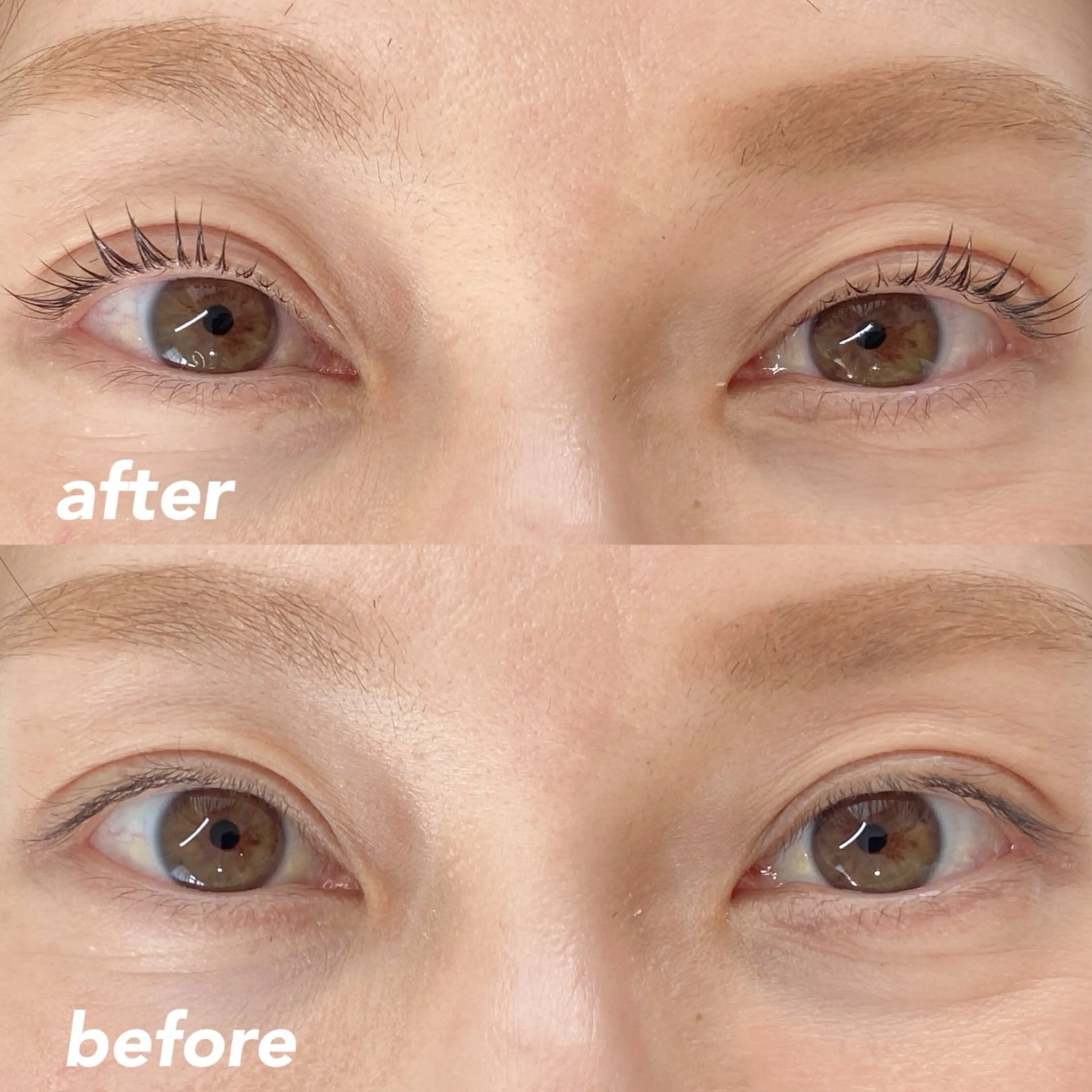 マツエク・マツパ 束感まつげ/パリエク 🧸sakuraのマツエク・マツパデザイン