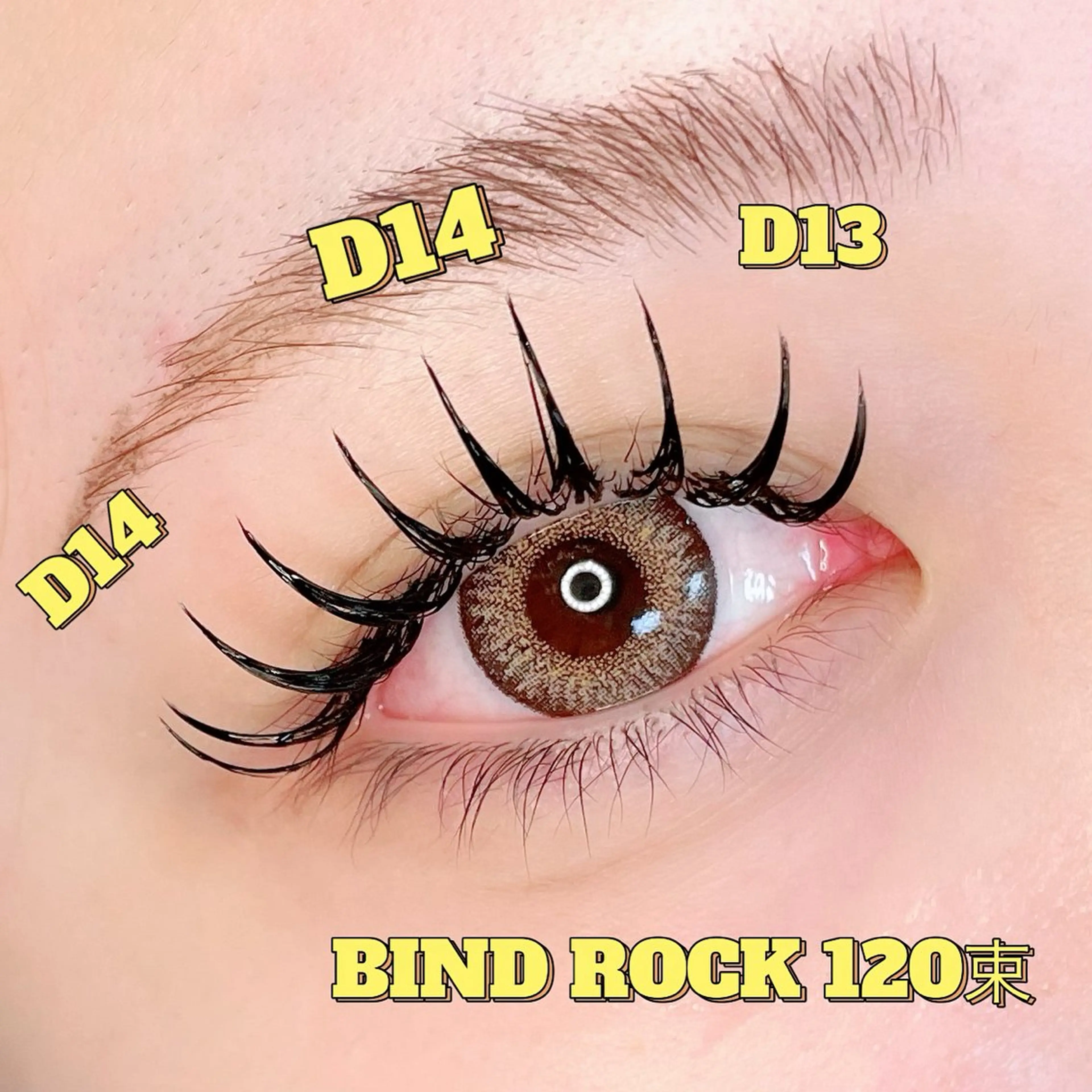 【バインドロック140束】シングル180本の濃さ (カラー/アップワード追加＋1000円) (オフ/再来様＋500円)の写真