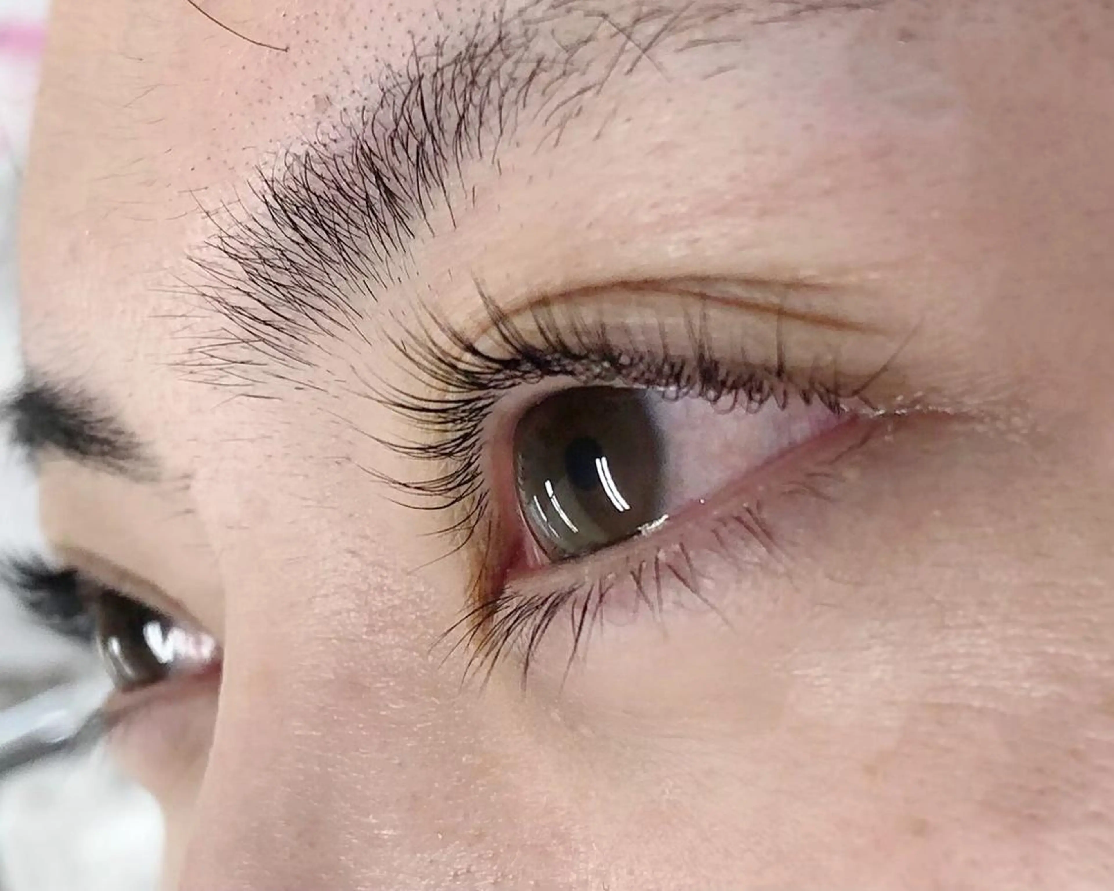 【エクステオフのない方】まつげパーマ上下🌷無料モデル(3/5​〜​3/6)の写真