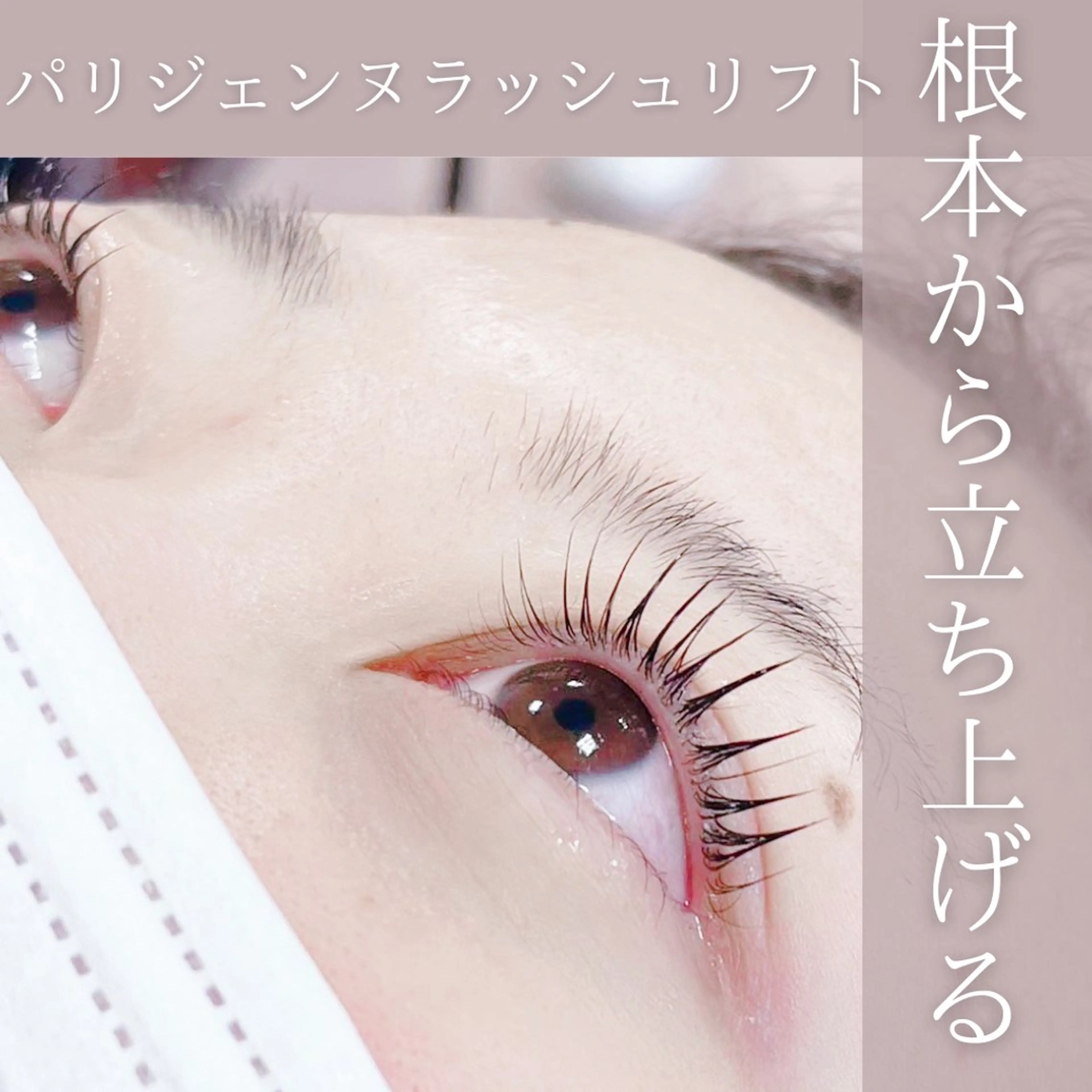 まつ毛パーマ+ラッシュアディクト1本付き(パリジェンヌ/メーテル)も選べますの写真