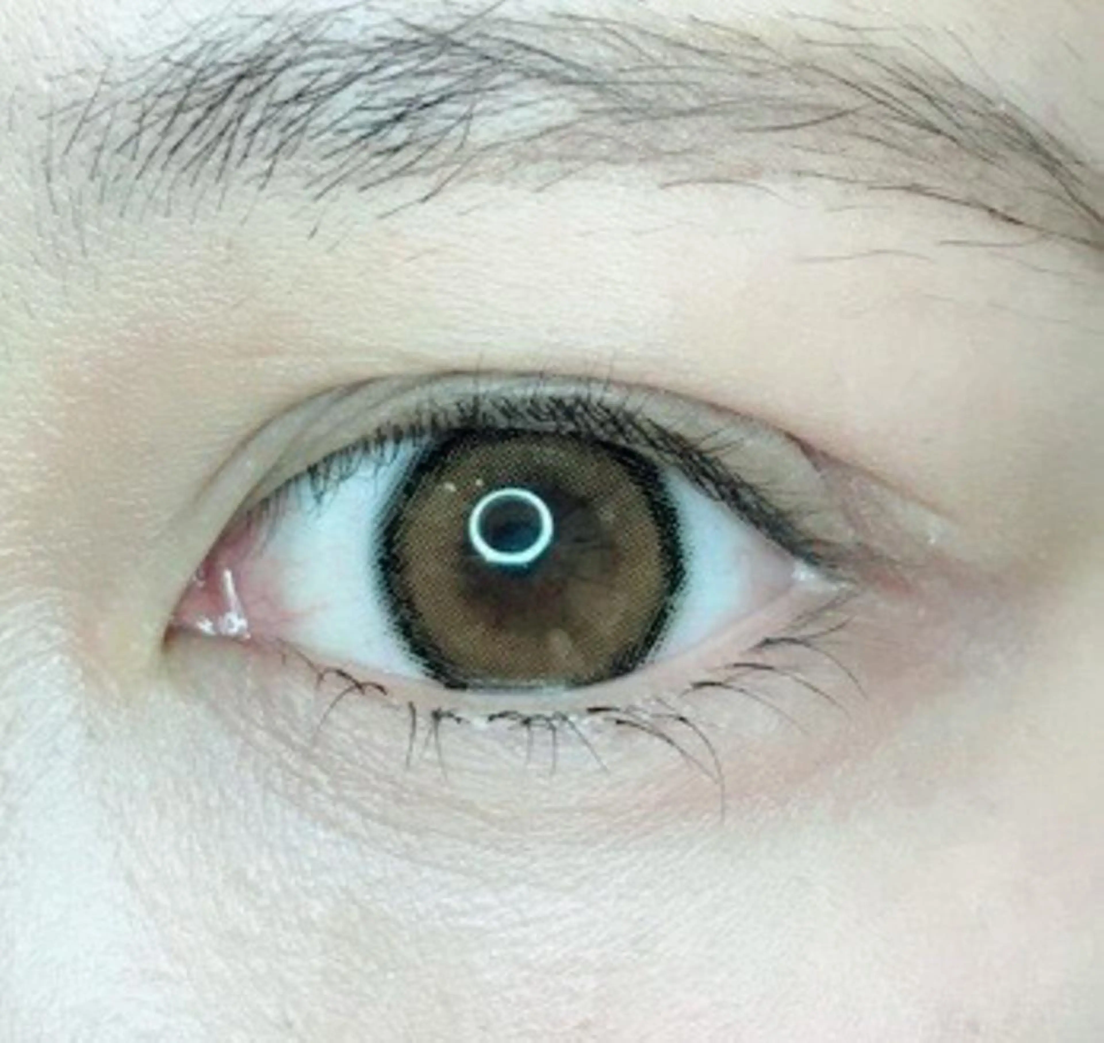 マツエク・マツパ 《eyelash ｉｉｔｅ》森のマツエク・マツパデザイン