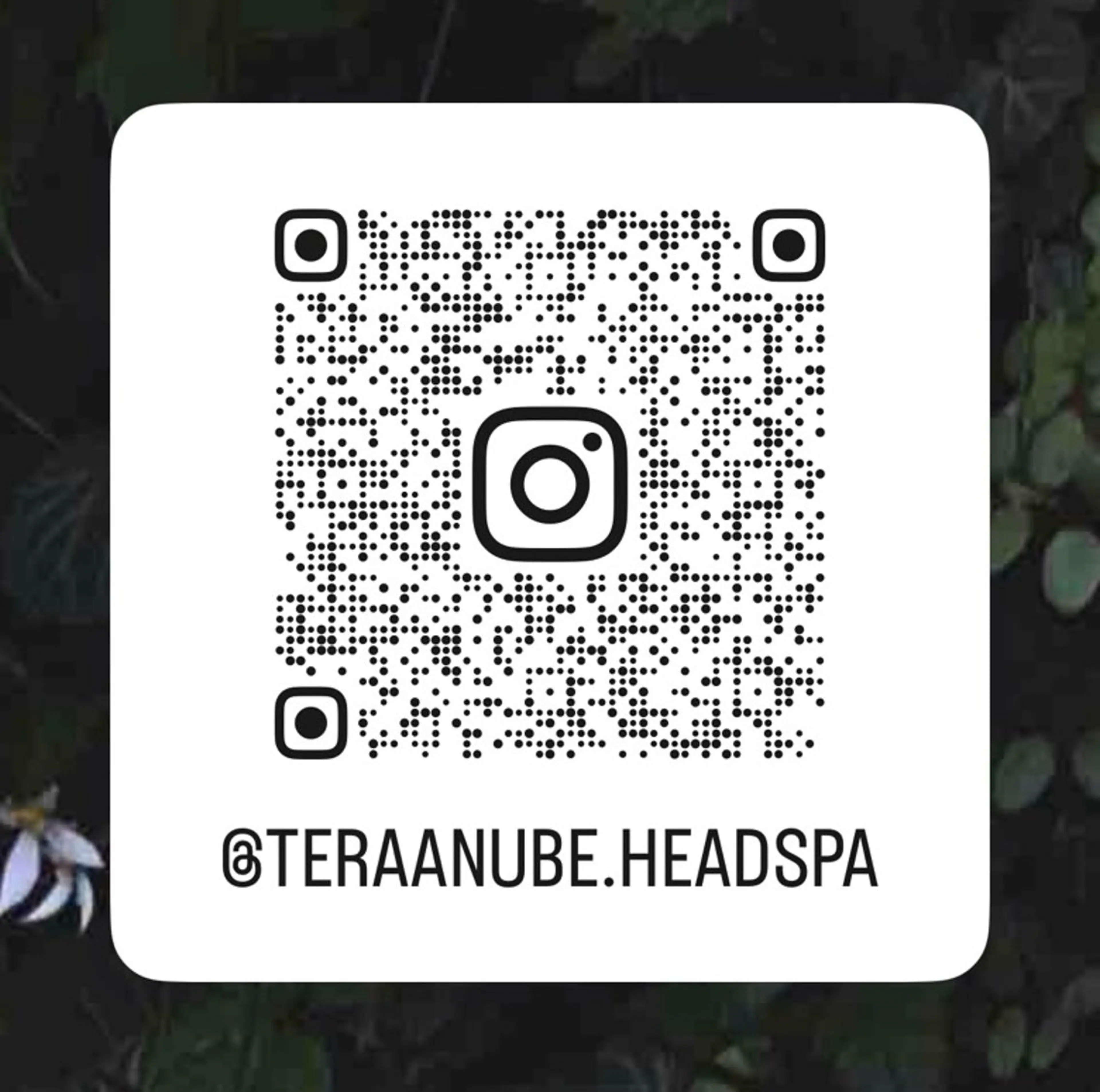 terra nube／ヘッドスパ専門店所属・terra nube 🌿ヘッドスパ専門店のヘアスタイル