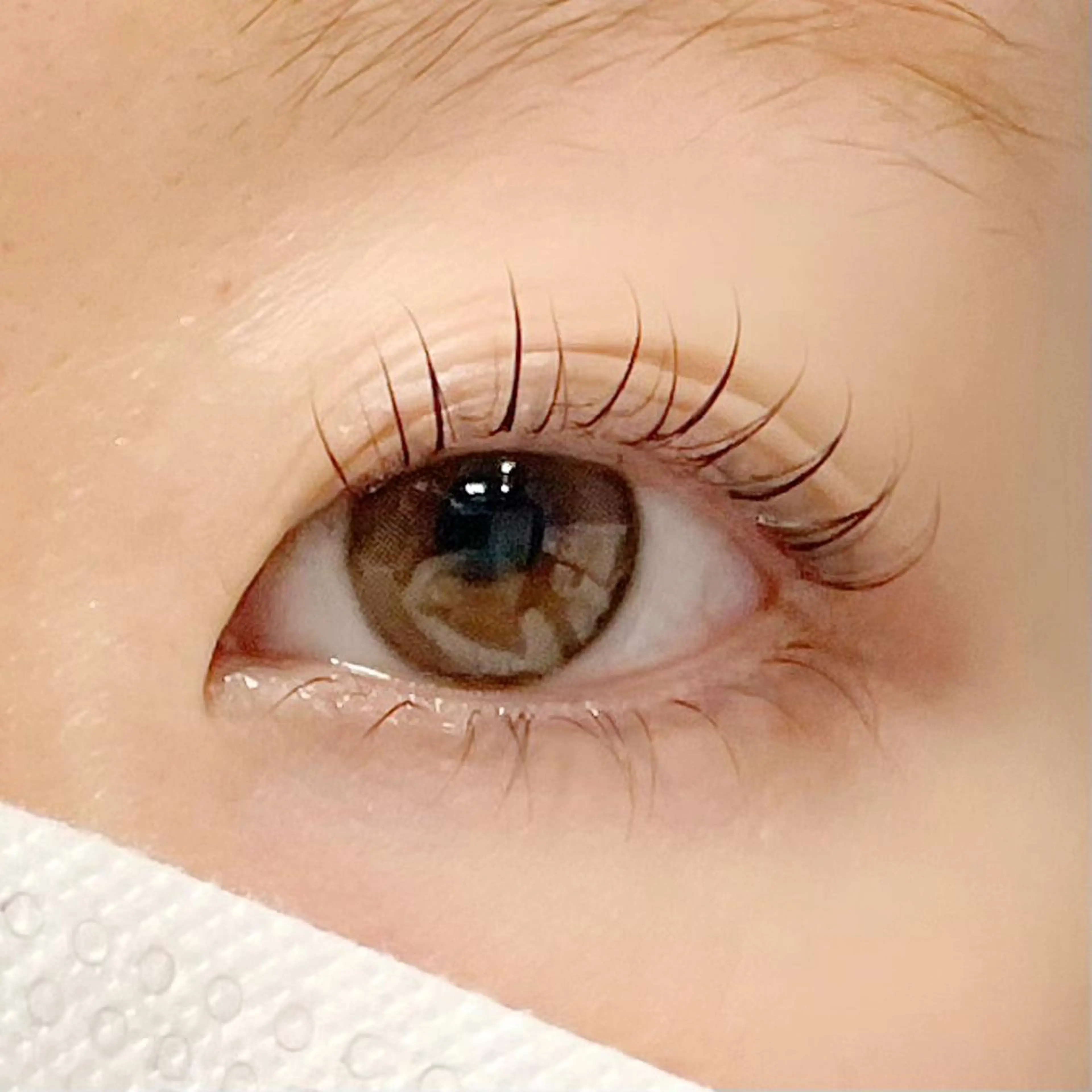 まつげパーマ🌼コーティング美容液お仕上げ👀✨の写真