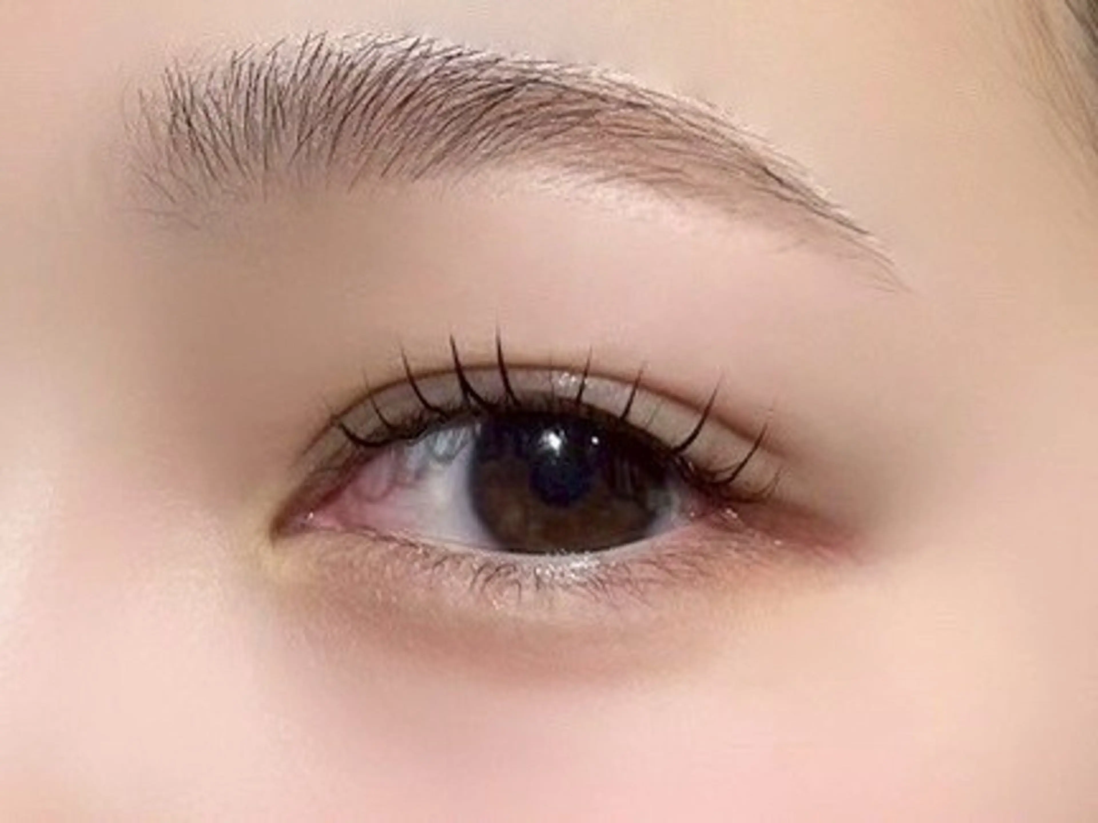 マツエク・マツパ 【束感まつ毛】 🐶Syunya🐶のマツエク・マツパデザイン