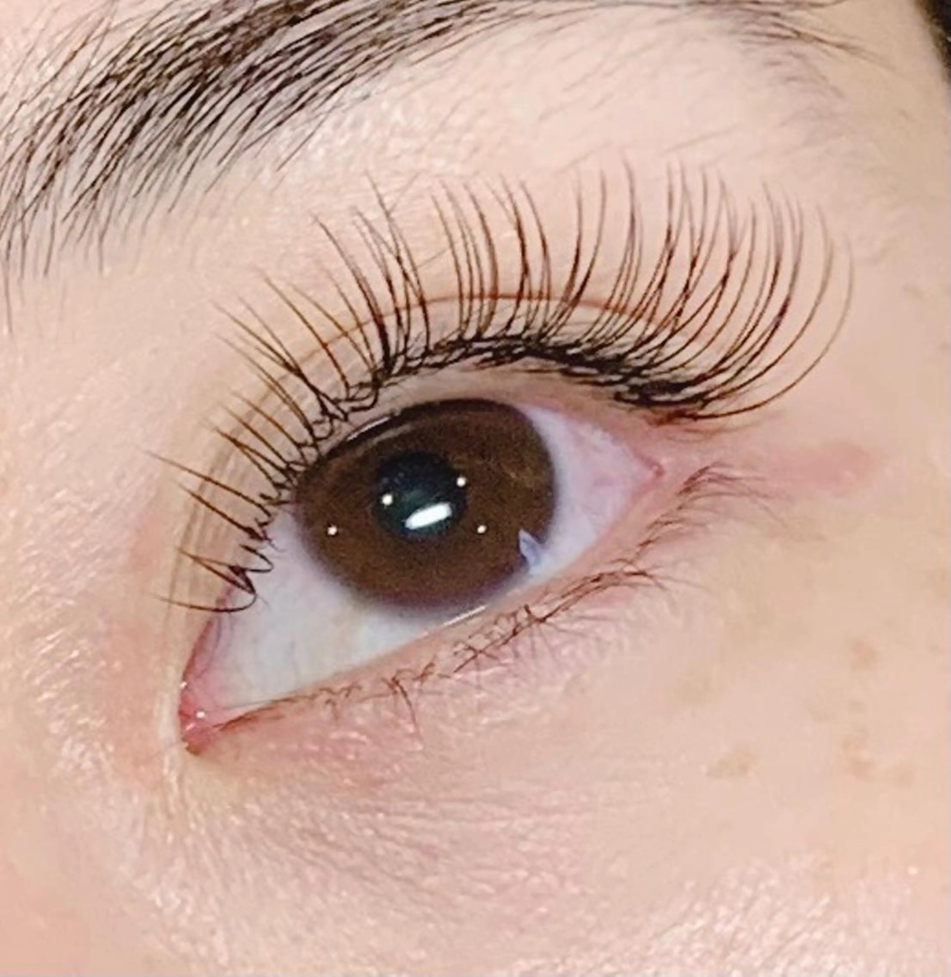 LED140本(フラットラッシュ)の写真