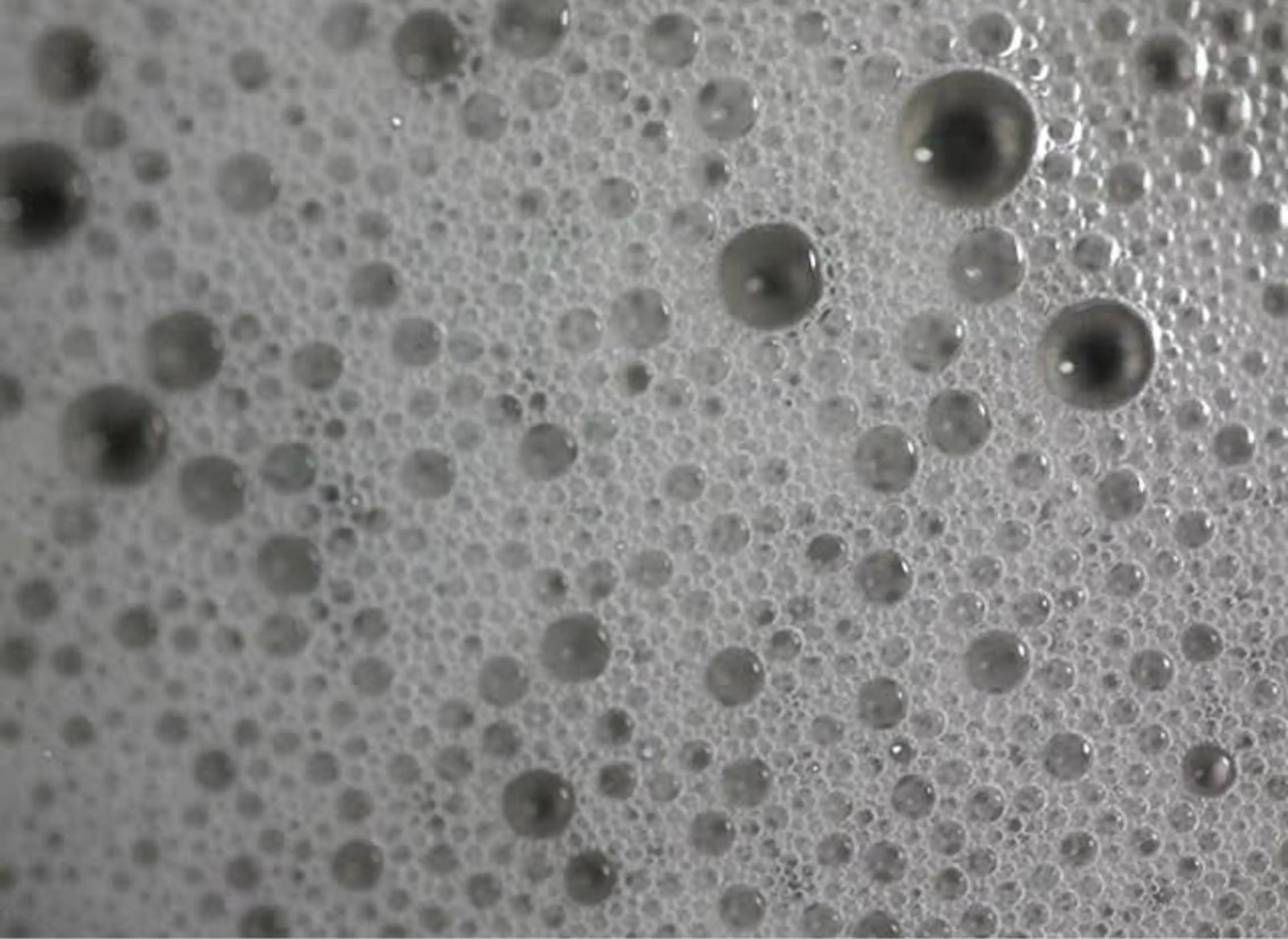 【ご帰宅前に是非✨】シャンプー＆ブロー𓏸𓈒𓂃🫧の写真