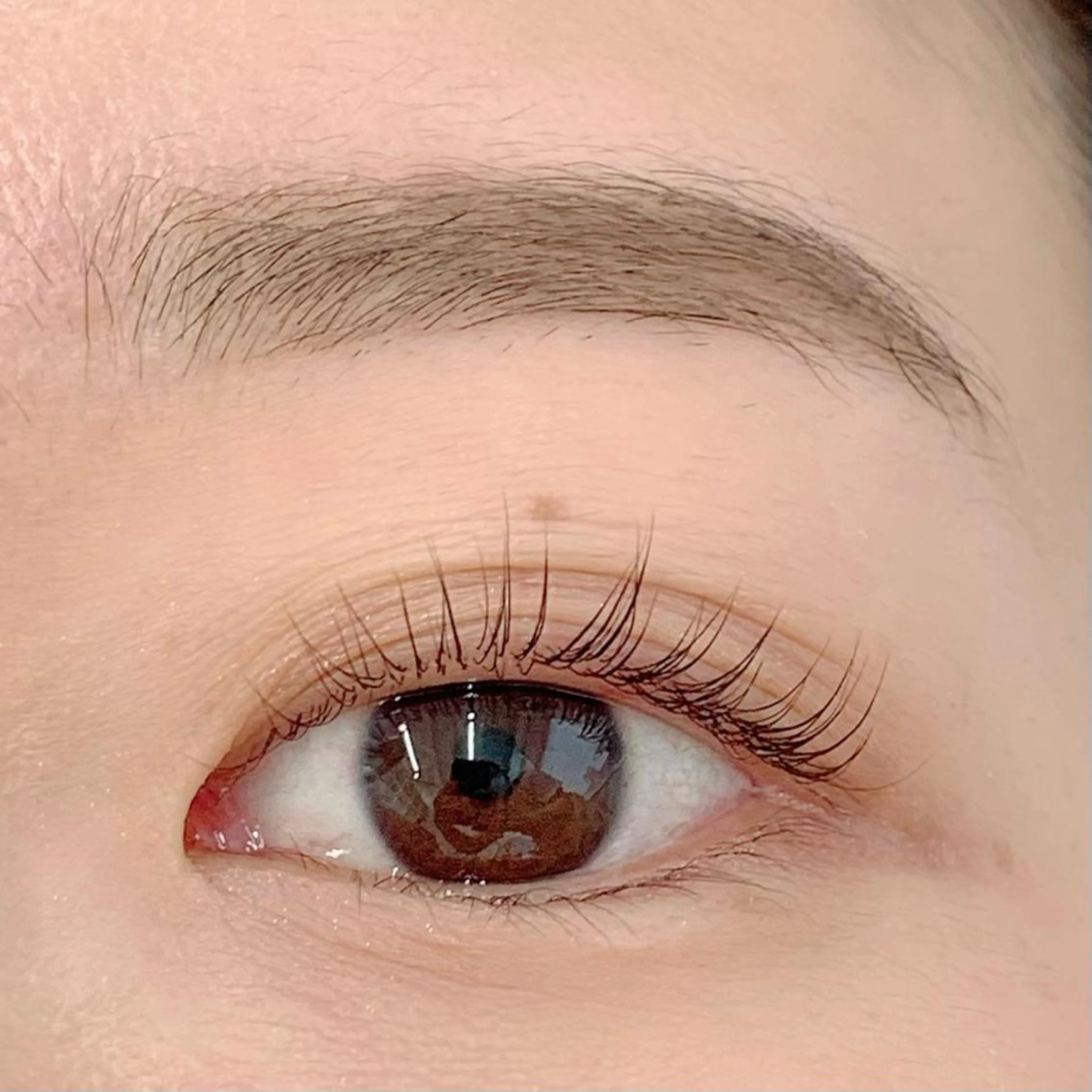 マツエク・マツパ パリジェンヌラッシュリフト BellFlower Aki(眉・まつげ)のマツエク・マツパデザイン