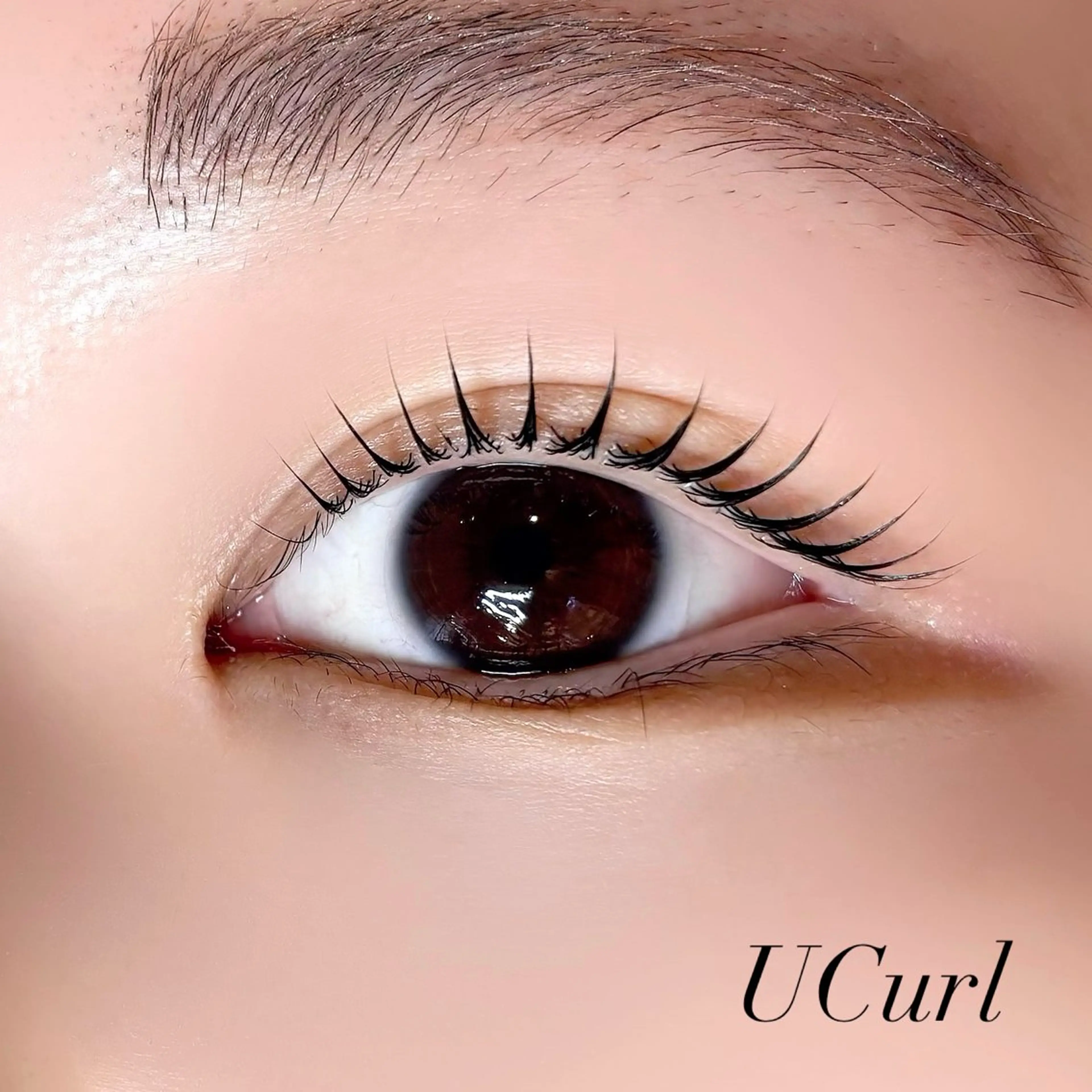 マツエク・マツパ マツパ Pupu lash所属・Pupu lash 2のマツエク・マツパデザイン