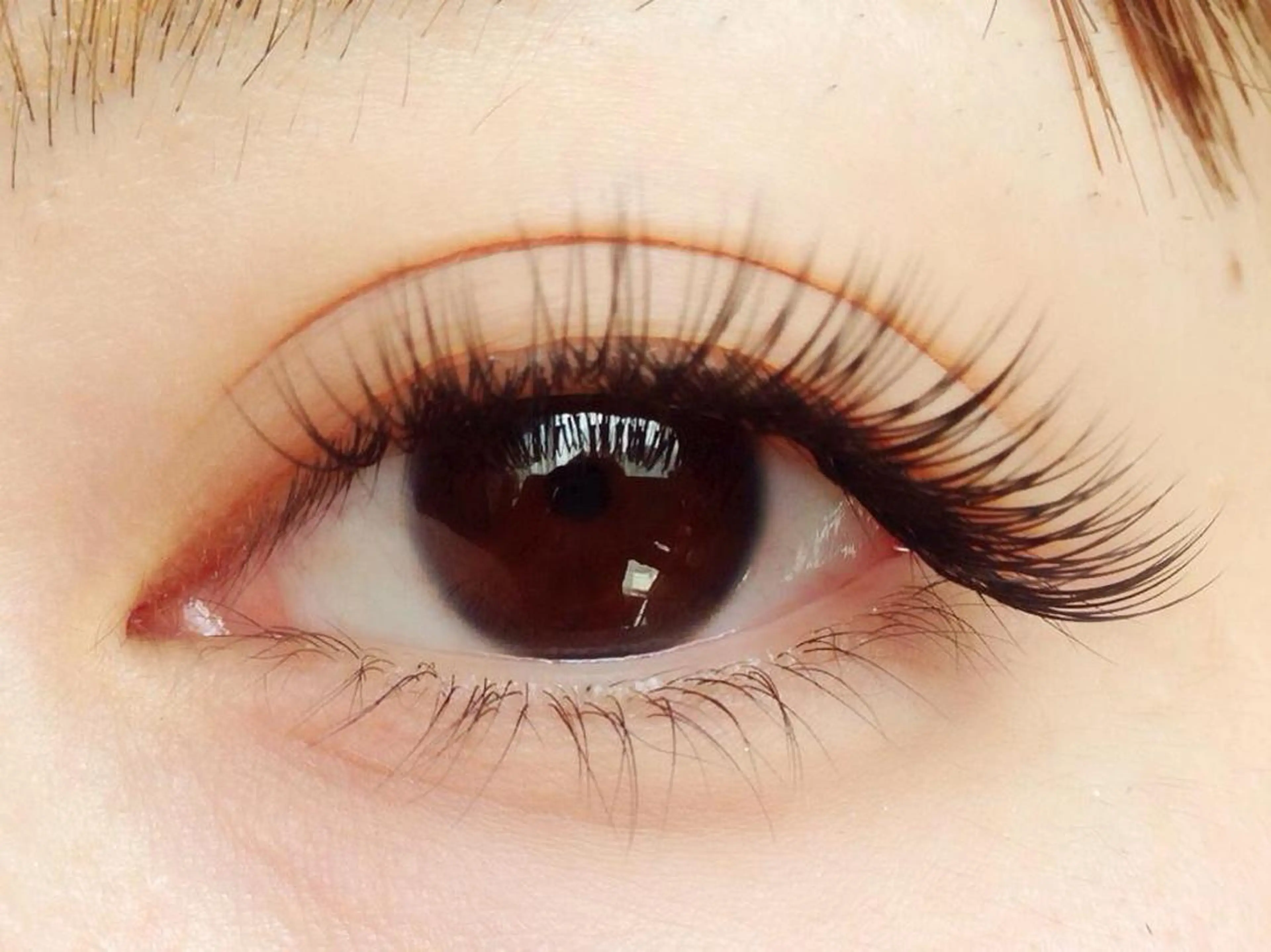 🌈フラットラッシュ100本❣️J.C.Dカールそれぞれ太さ0.17m (決済方法現金のみ)の写真