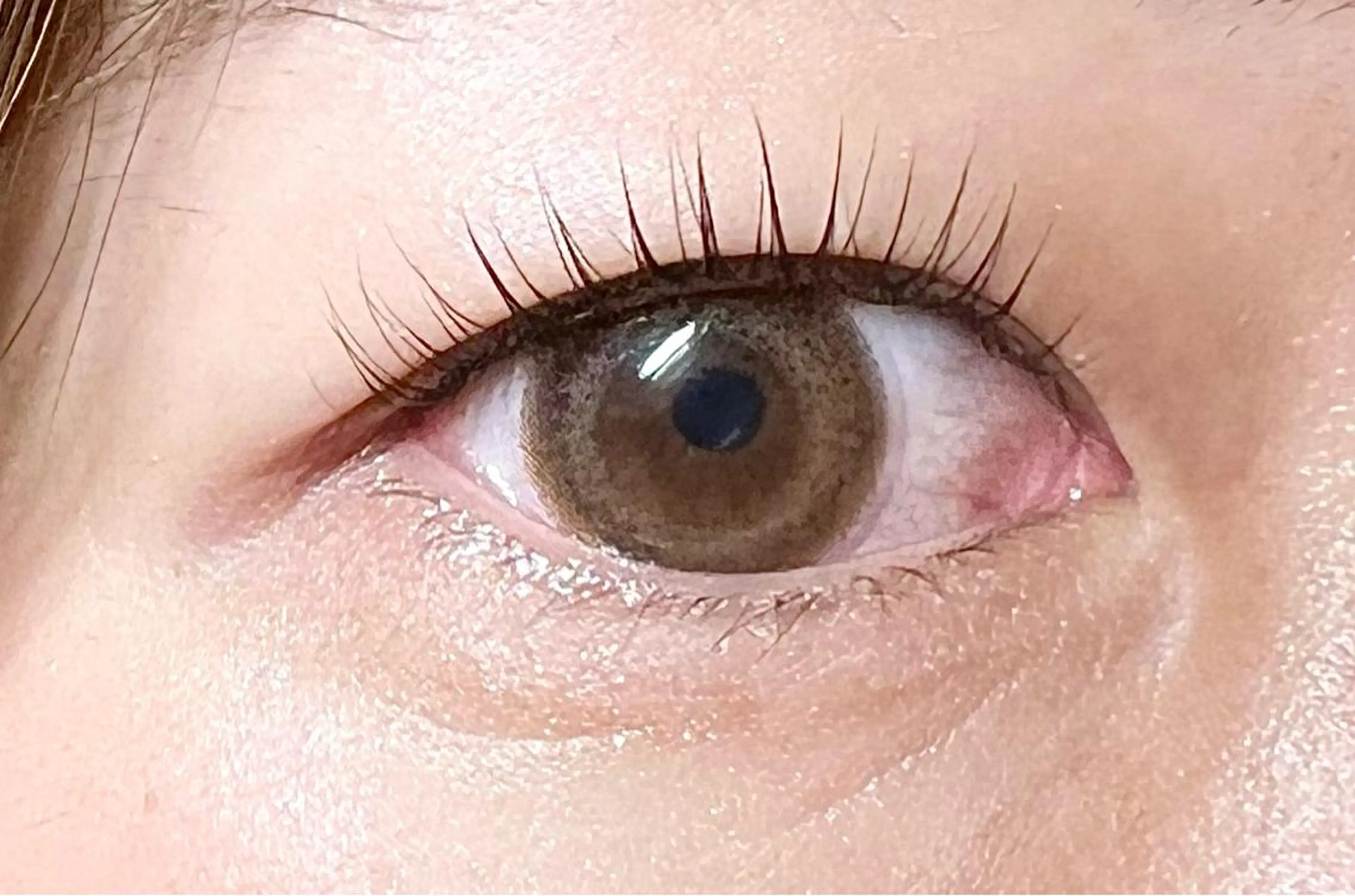 マツエク・マツパ パリジェンヌラッシュリフト eyelash plan api所属・【plan】 kaoriのマツエク・マツパデザイン