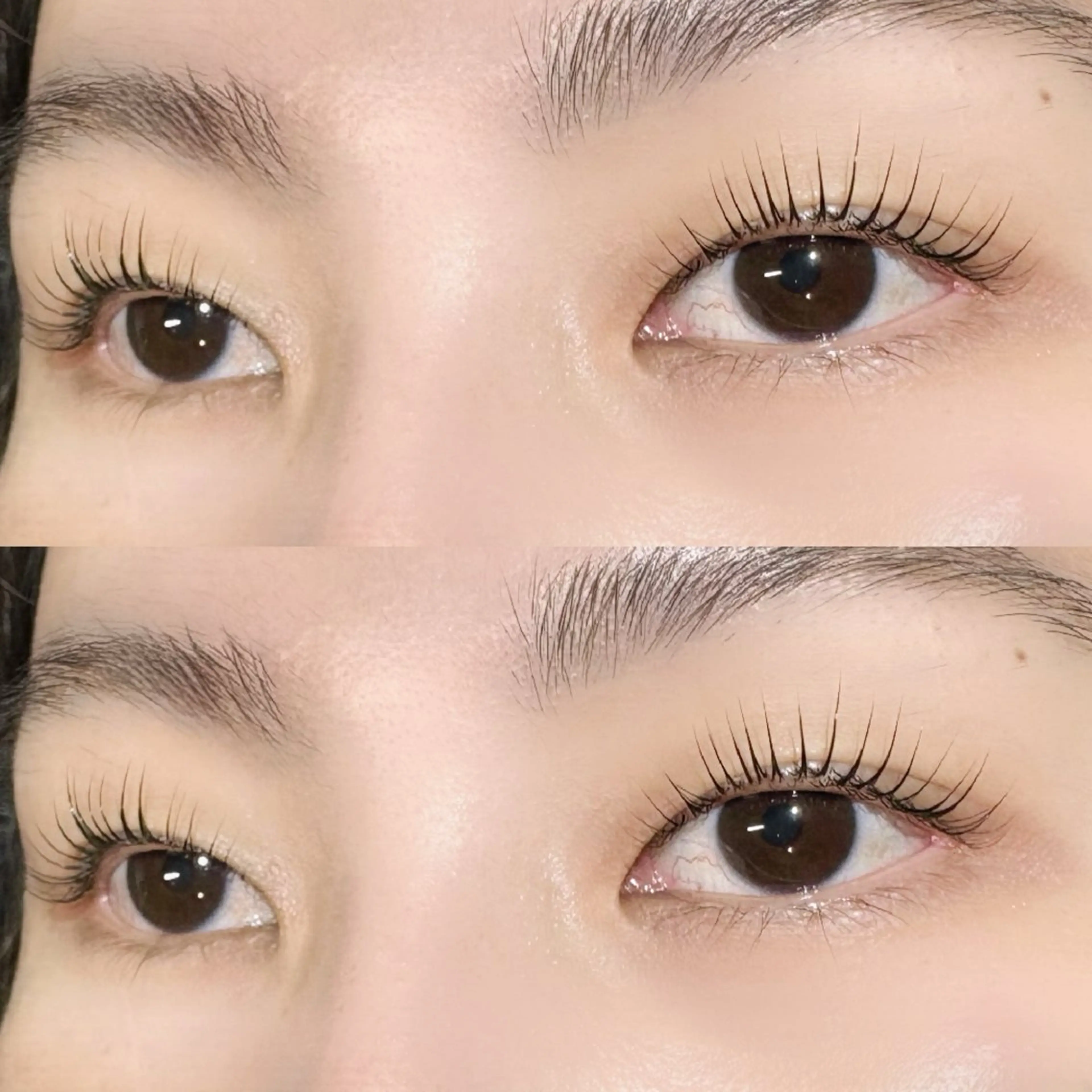 💭パリジェンヌラッシュリフト高濃度トリートメント付き💭の写真