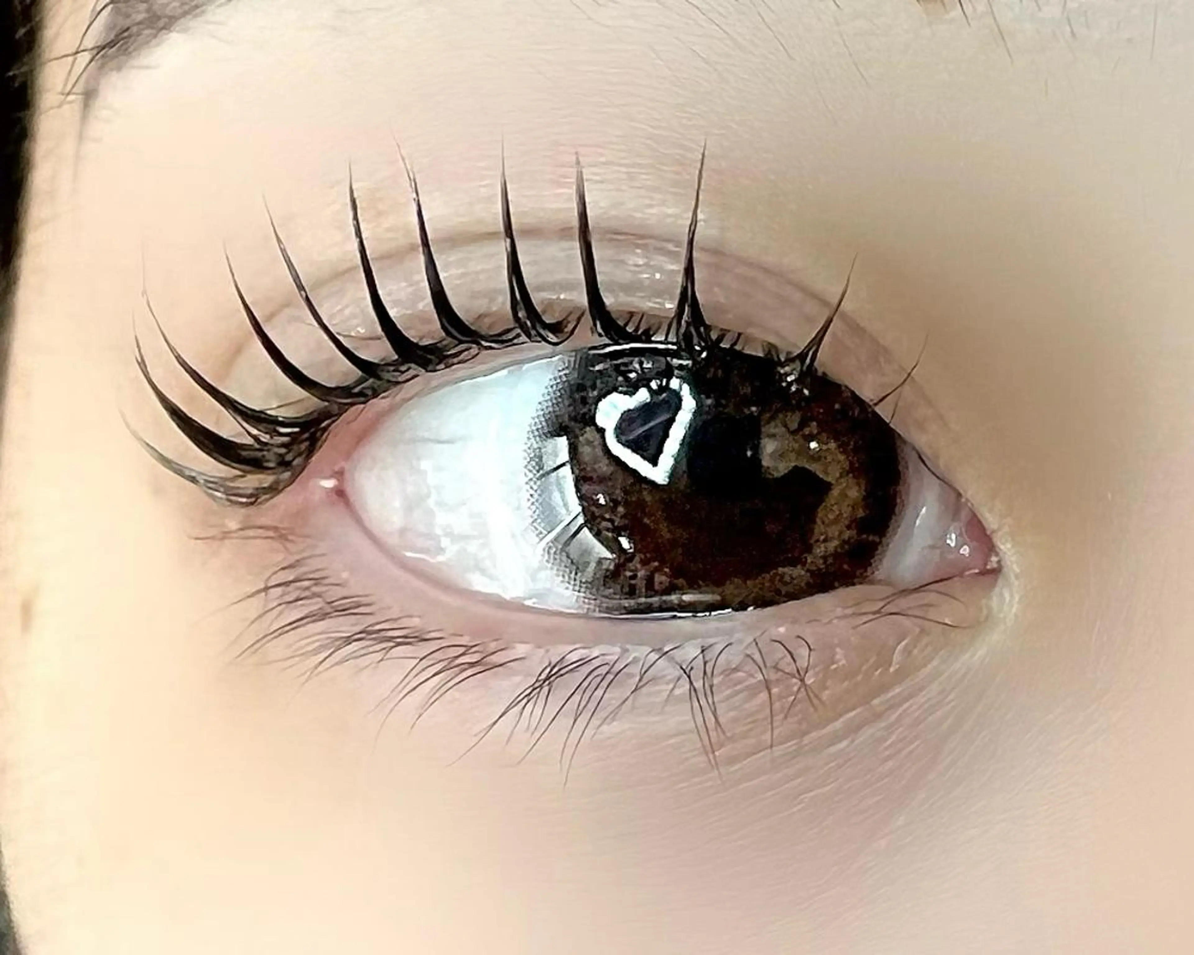 マツエク・マツパ ケラチンラッシュリフト Celeste Venus所属・🧸Celeste Venusのマツエク・マツパデザイン