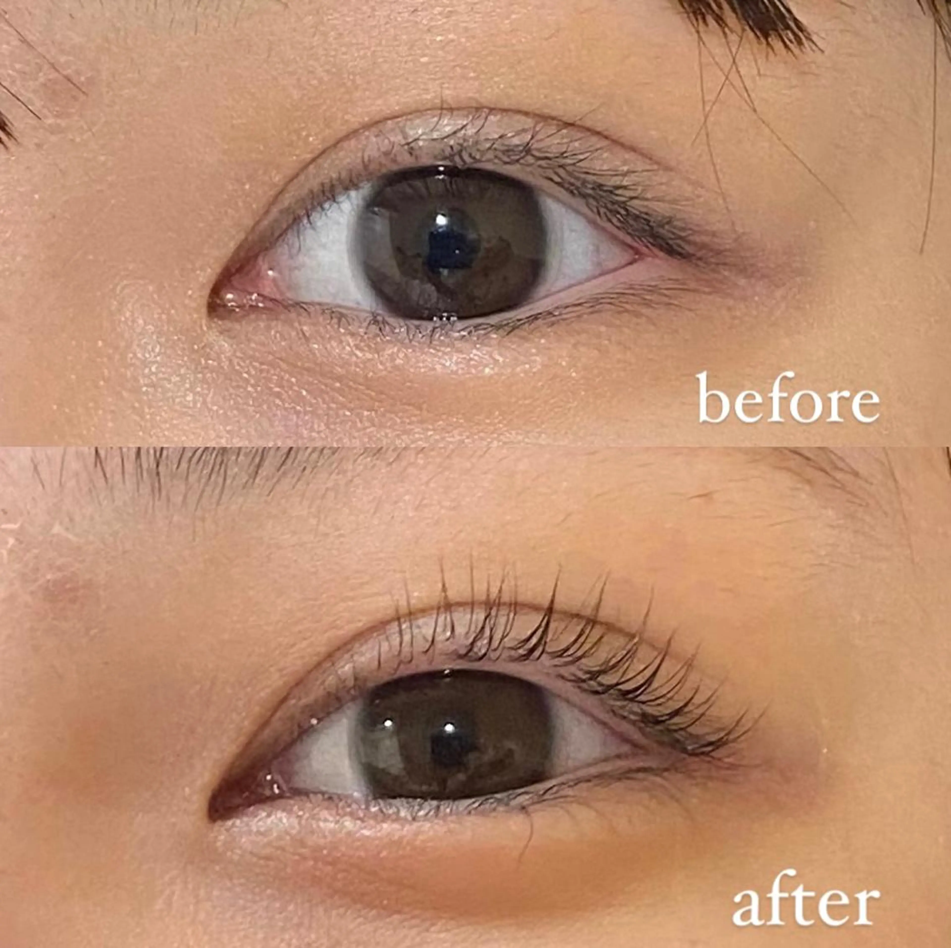 マツエク・マツパ パリジェンヌラッシュリフト HINANO🌷 髪質改善サロンの眉毛・アイブロウイメージ