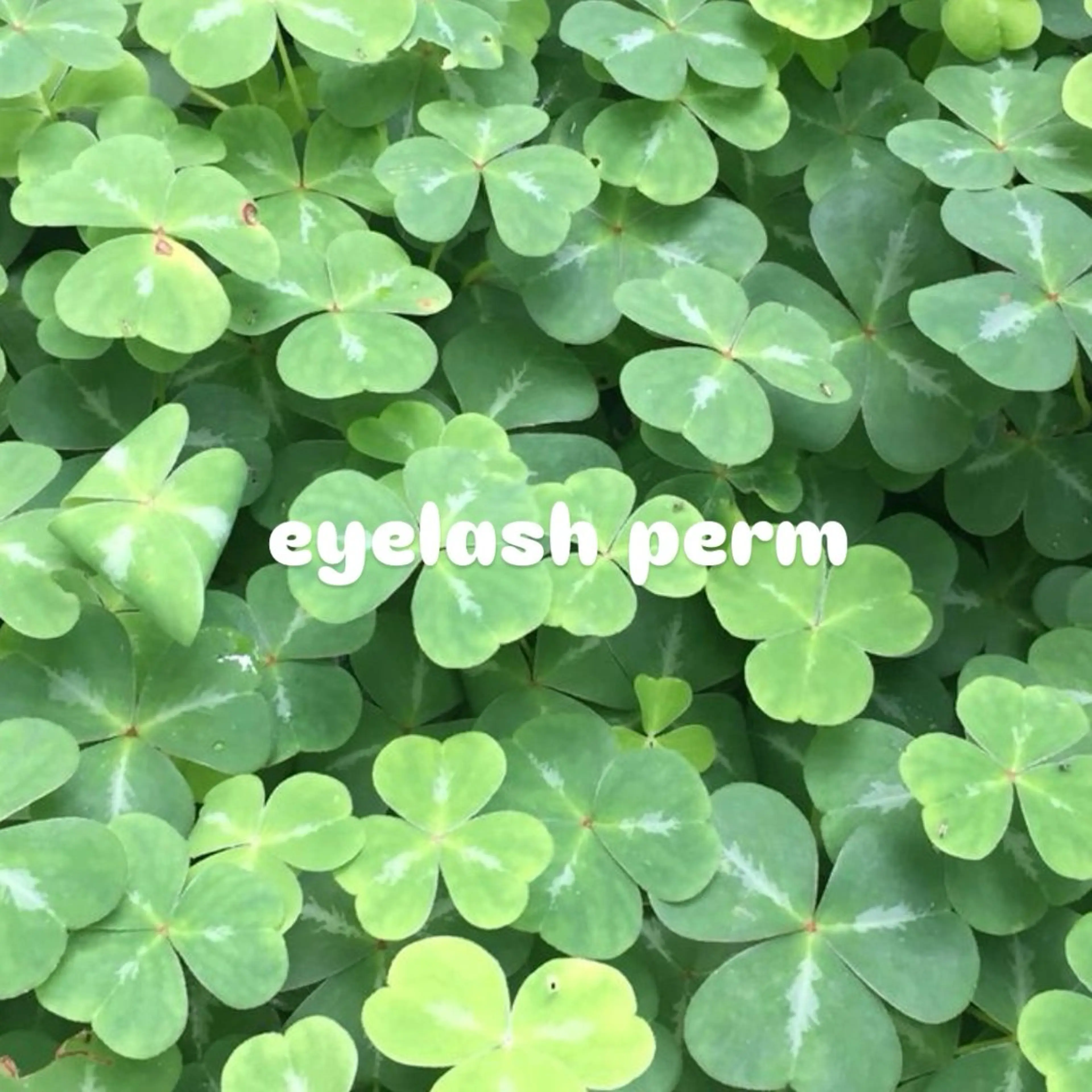 マツエク・マツパ ayuna🍀 Mon mignonのマツエク・マツパデザイン