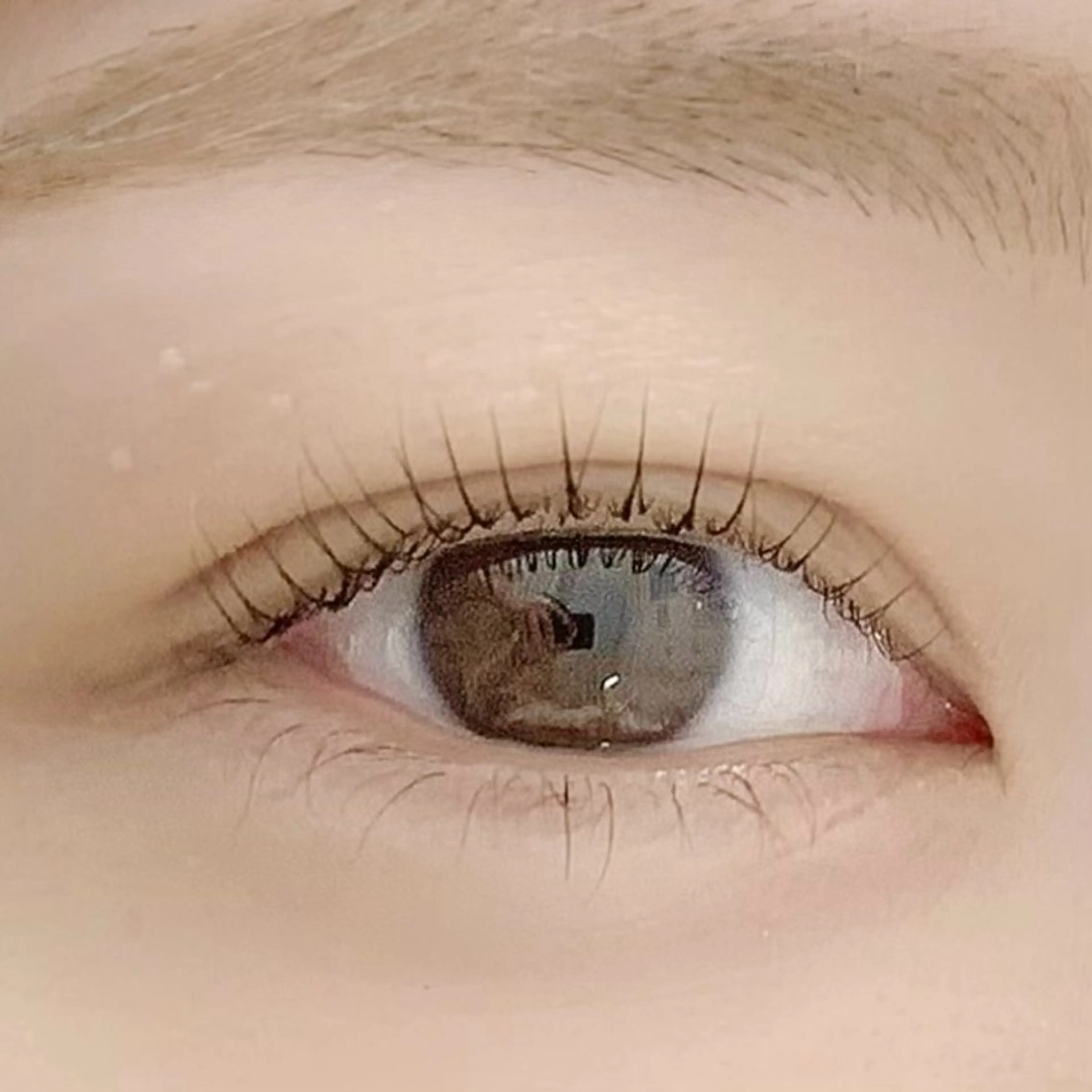 マツエク・マツパ ケラチンラッシュリフト ブラウンラッシュ カラーマツエク Jカール ナチュラル BellFlower Aki（眉・まつげ）のマツエク・マツパデザイン