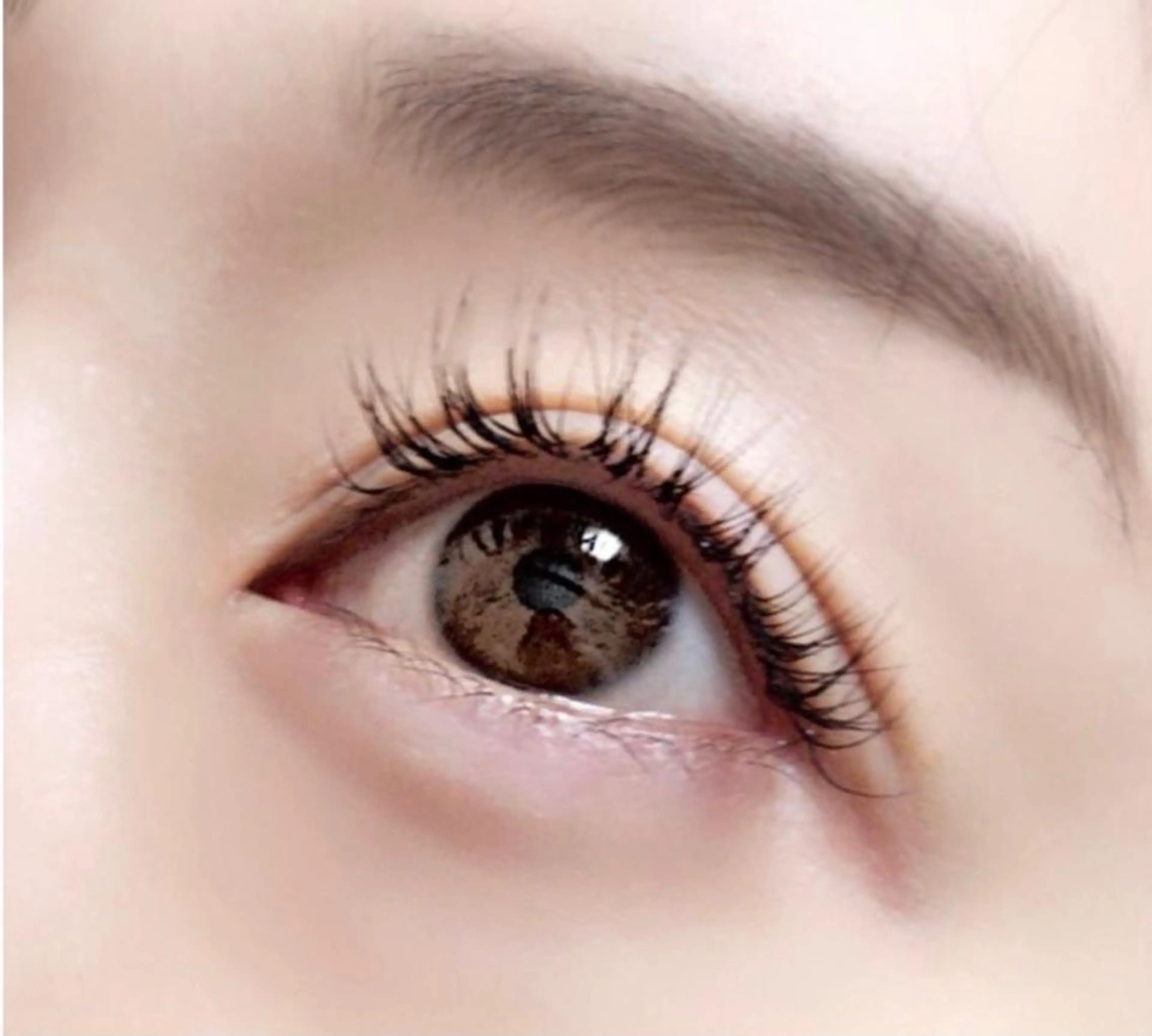 【オフなし‼️】フラットラッシュ　100本¥6000→¥4900✨の写真