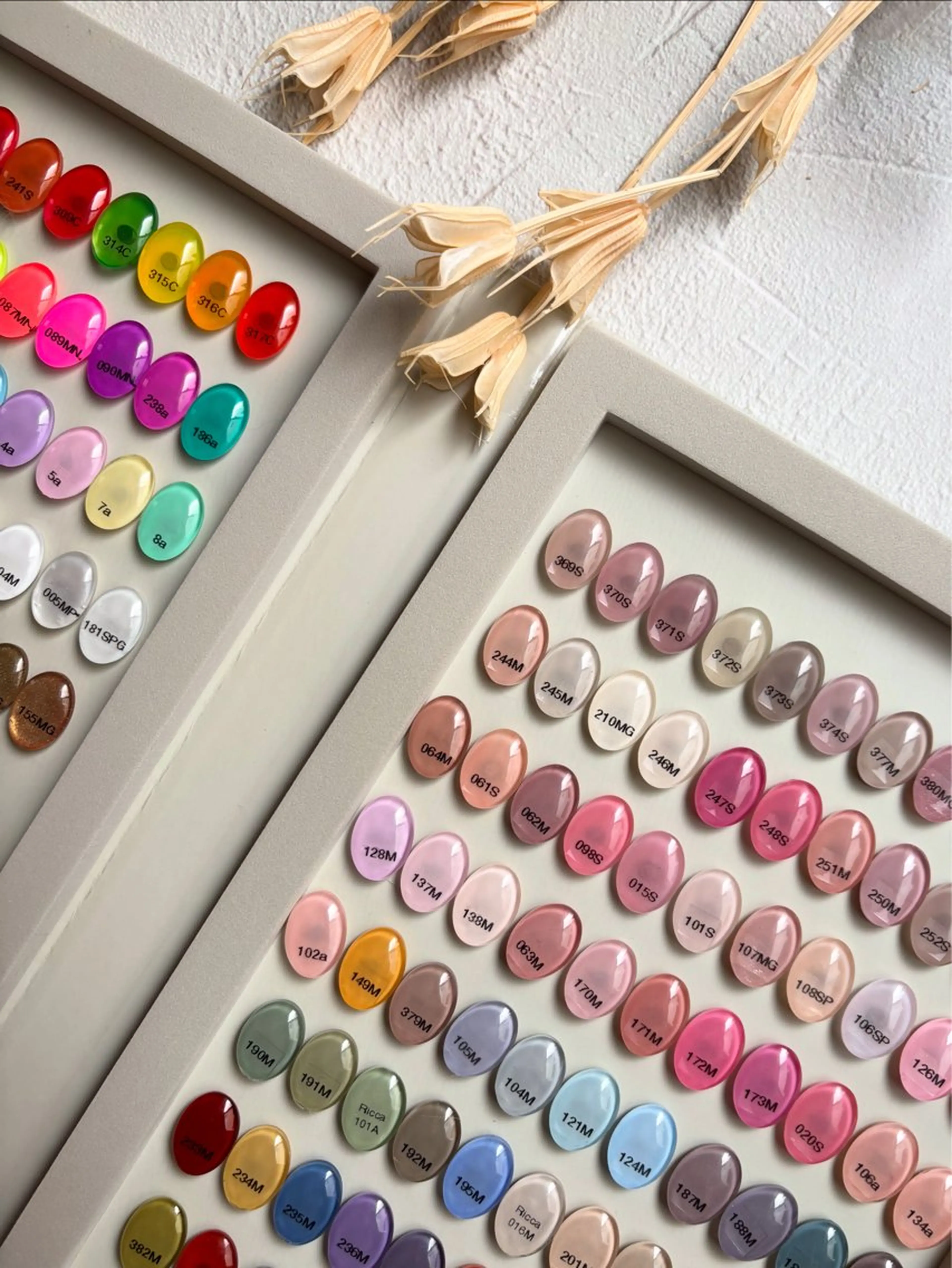 ワンカラー（オフなし）の写真