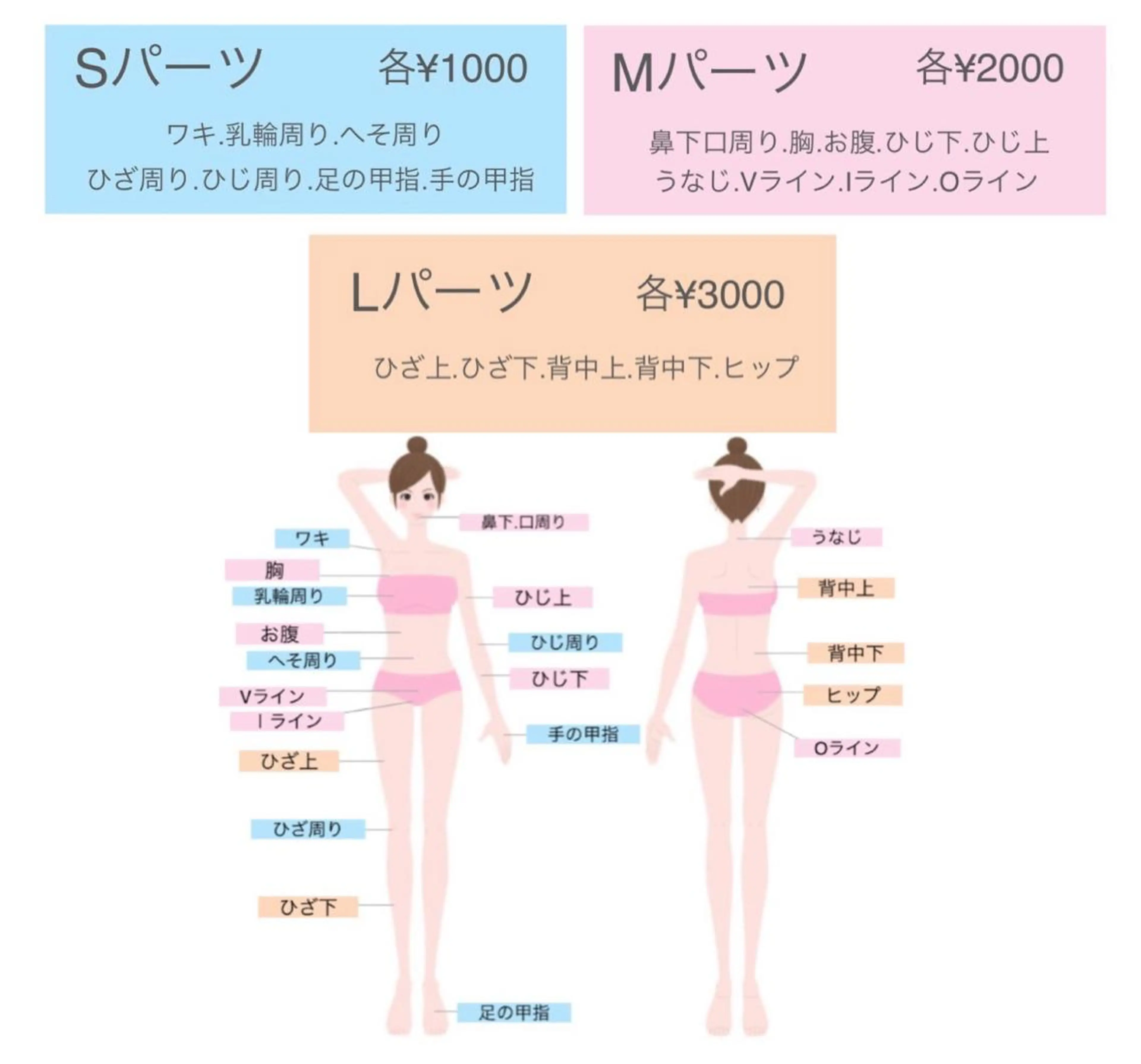 Ladies🌿お好きな3箇所脱毛¥5500の写真