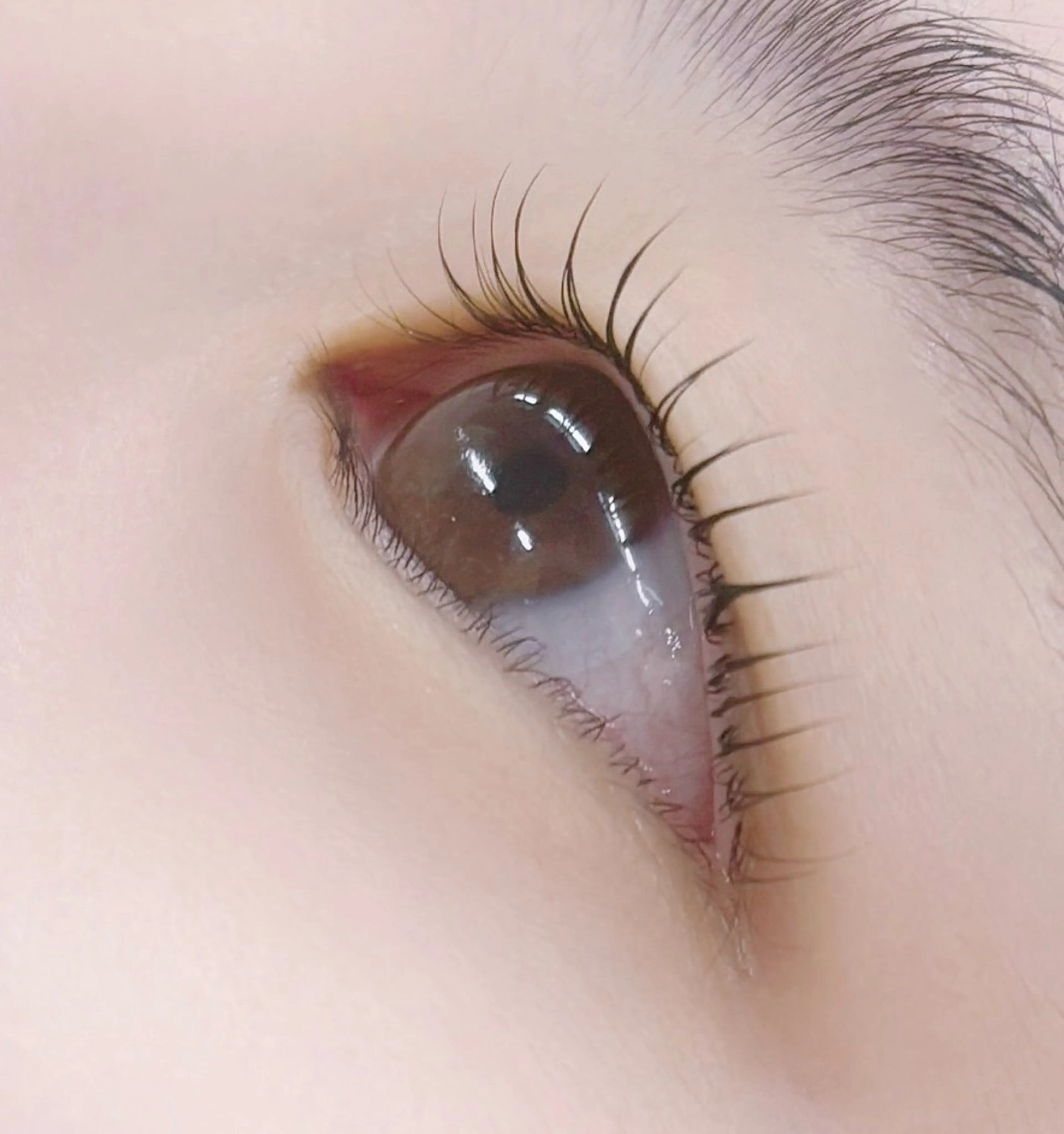 マツエク・マツパ JOJO【 kaneko◡̈*】のマツエク・マツパデザイン