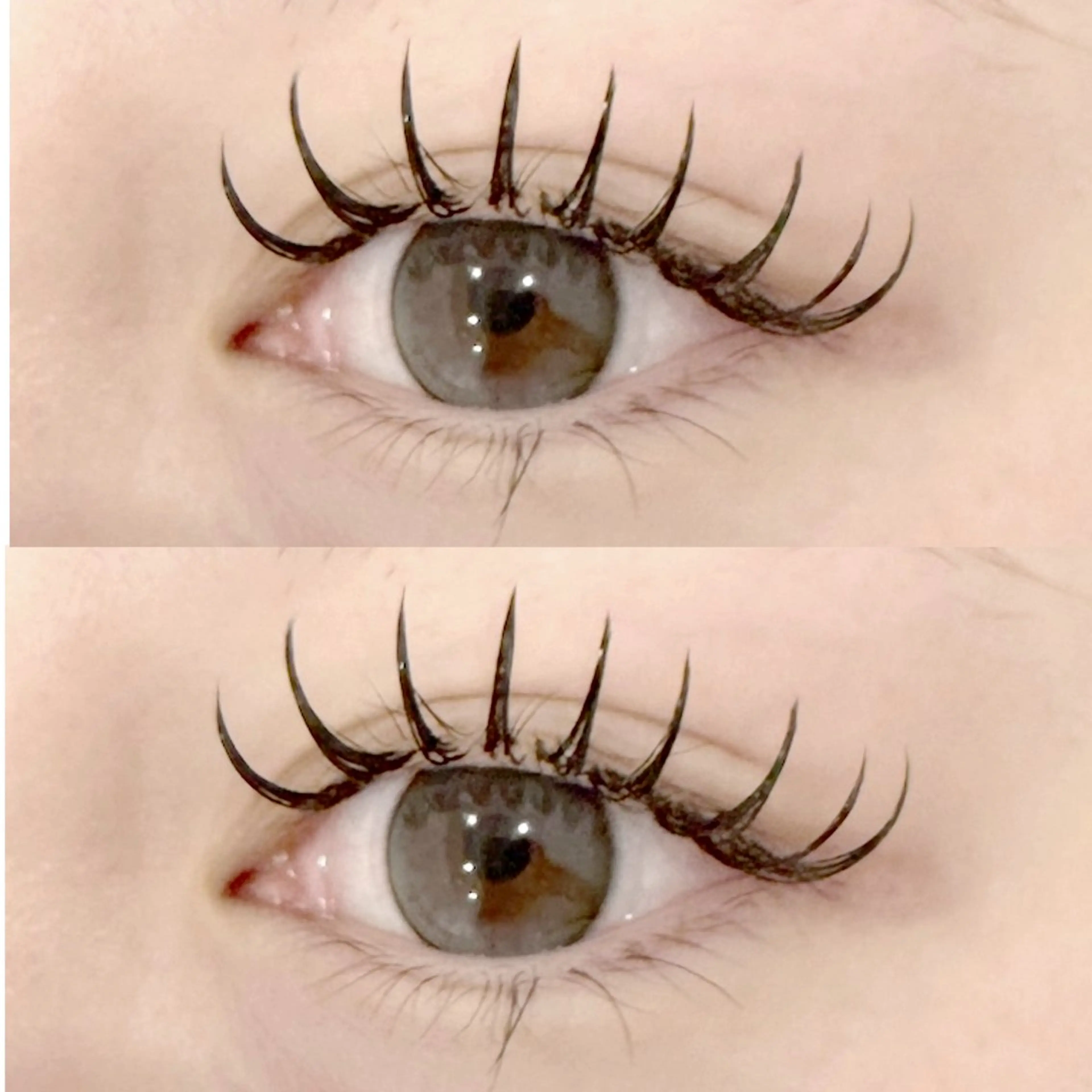 【オフ込み】ダブルフラットラッシュ 80束+コーティング仕上げ🪽の写真