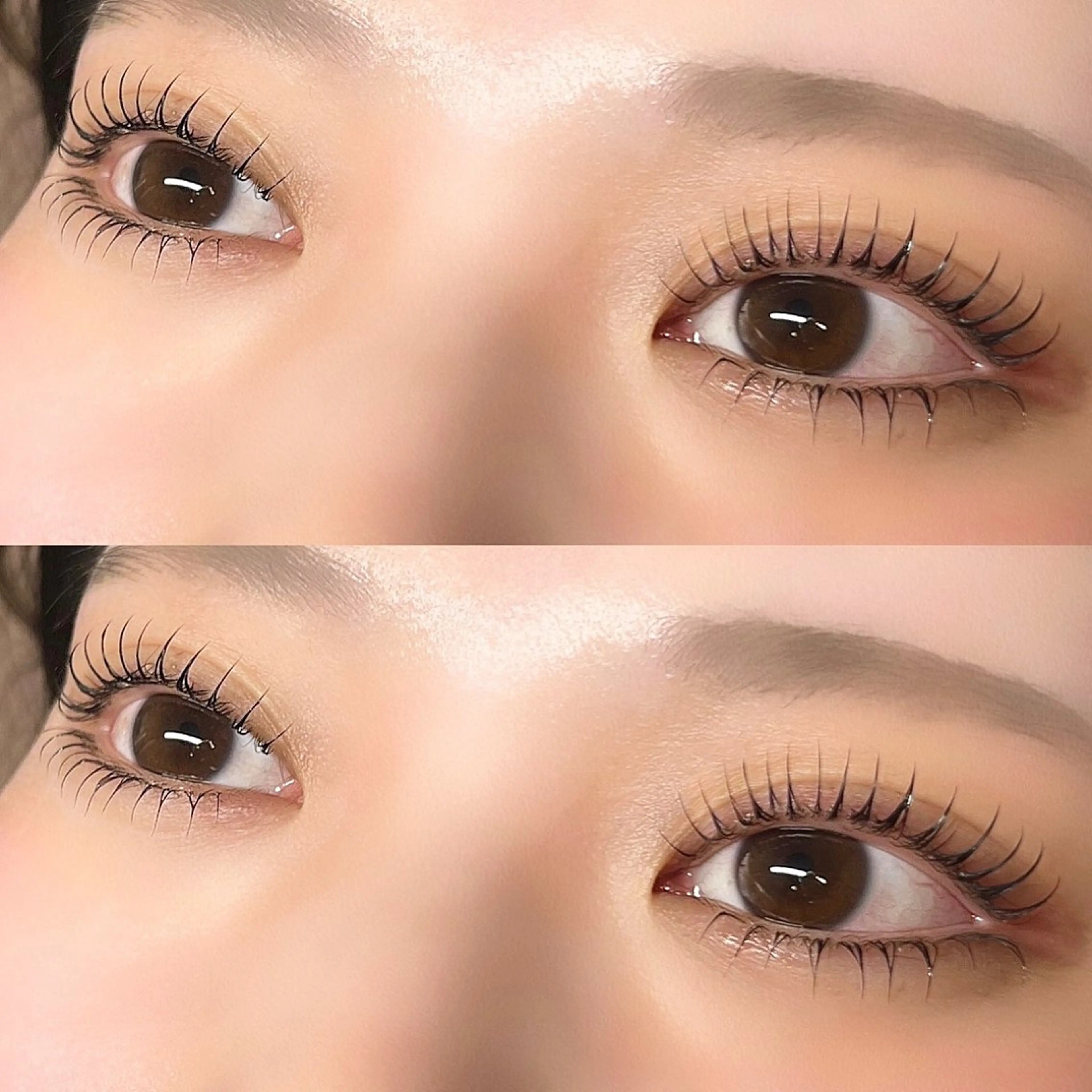 🎀SET MENU🎀パリジェンヌorラッシュリフト＆アイブロウWAXの写真