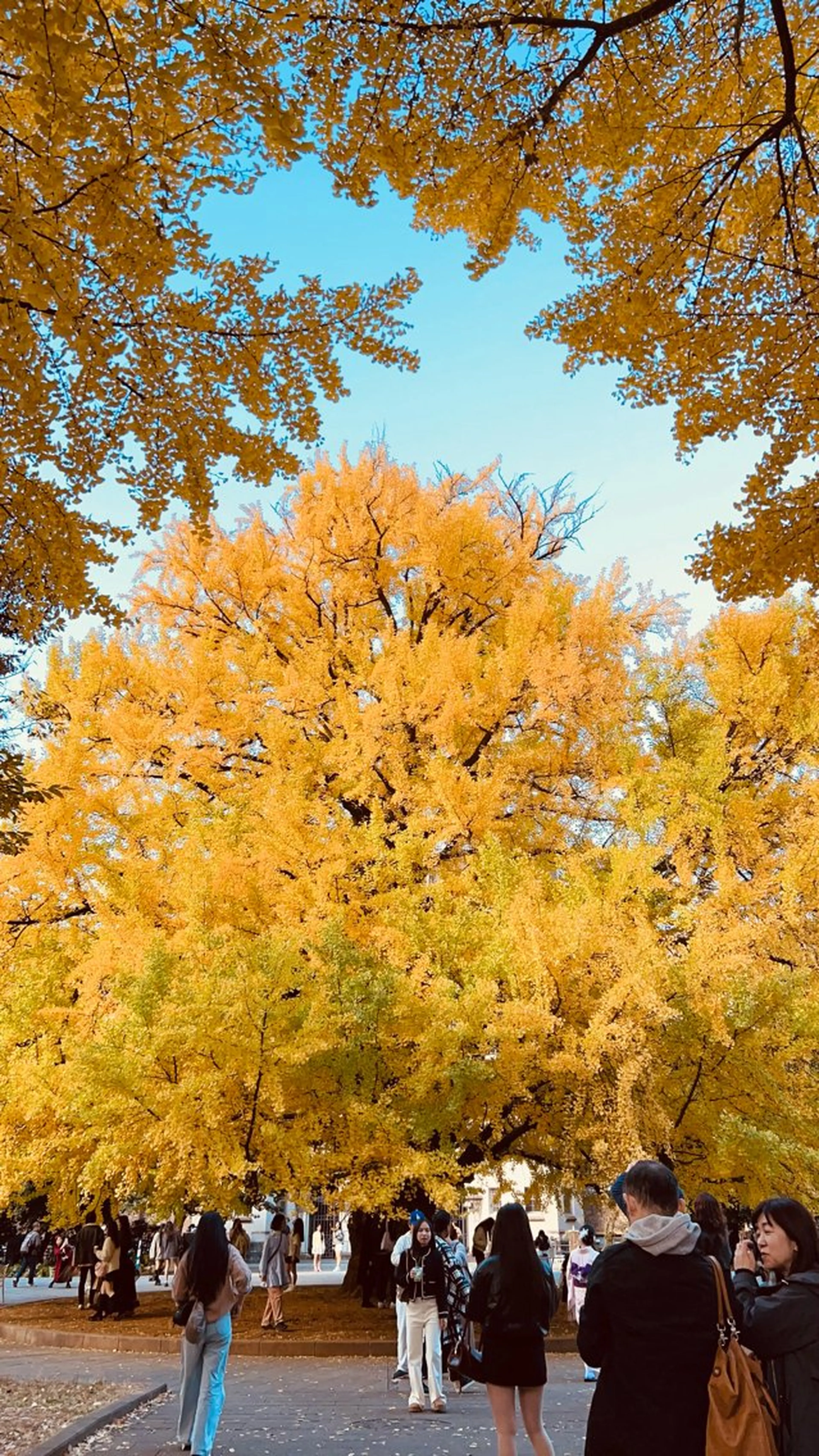 マツエク・マツパ M.TT salonのマツエク・マツパデザイン