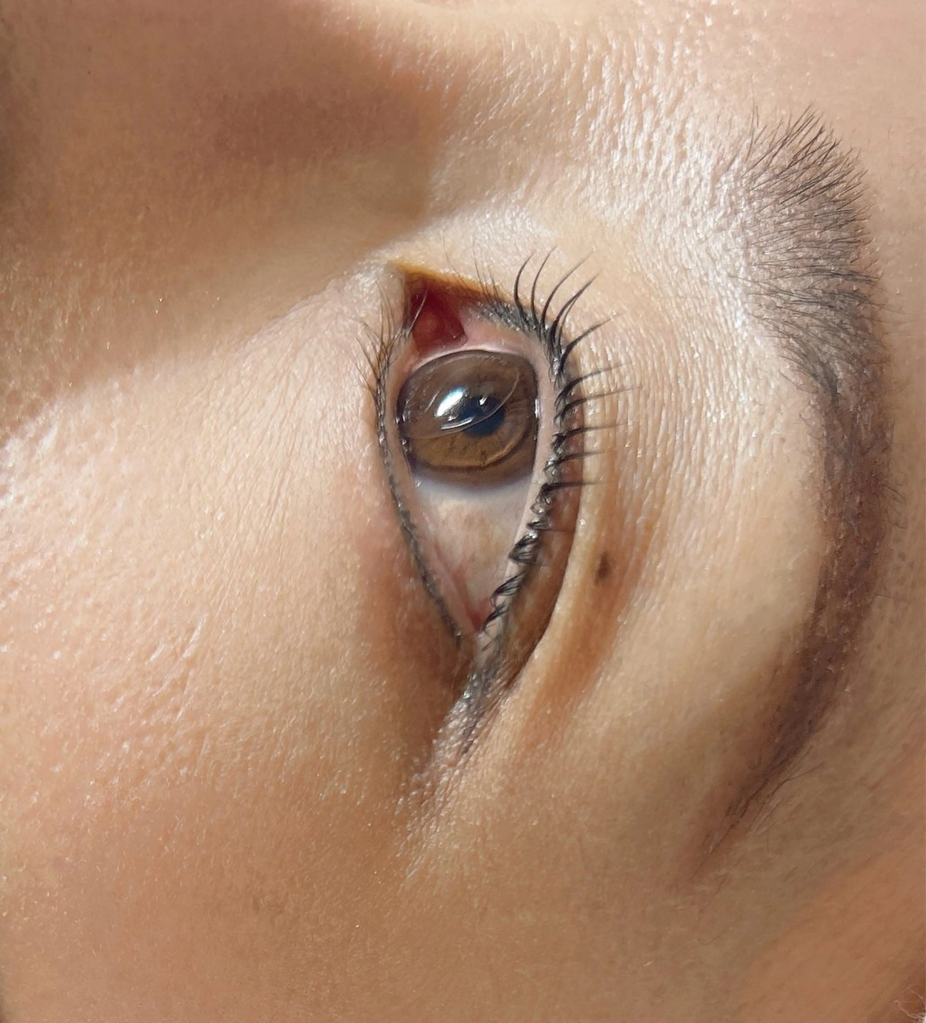 マツエク・マツパ Heal 西尾のマツエク・マツパデザイン