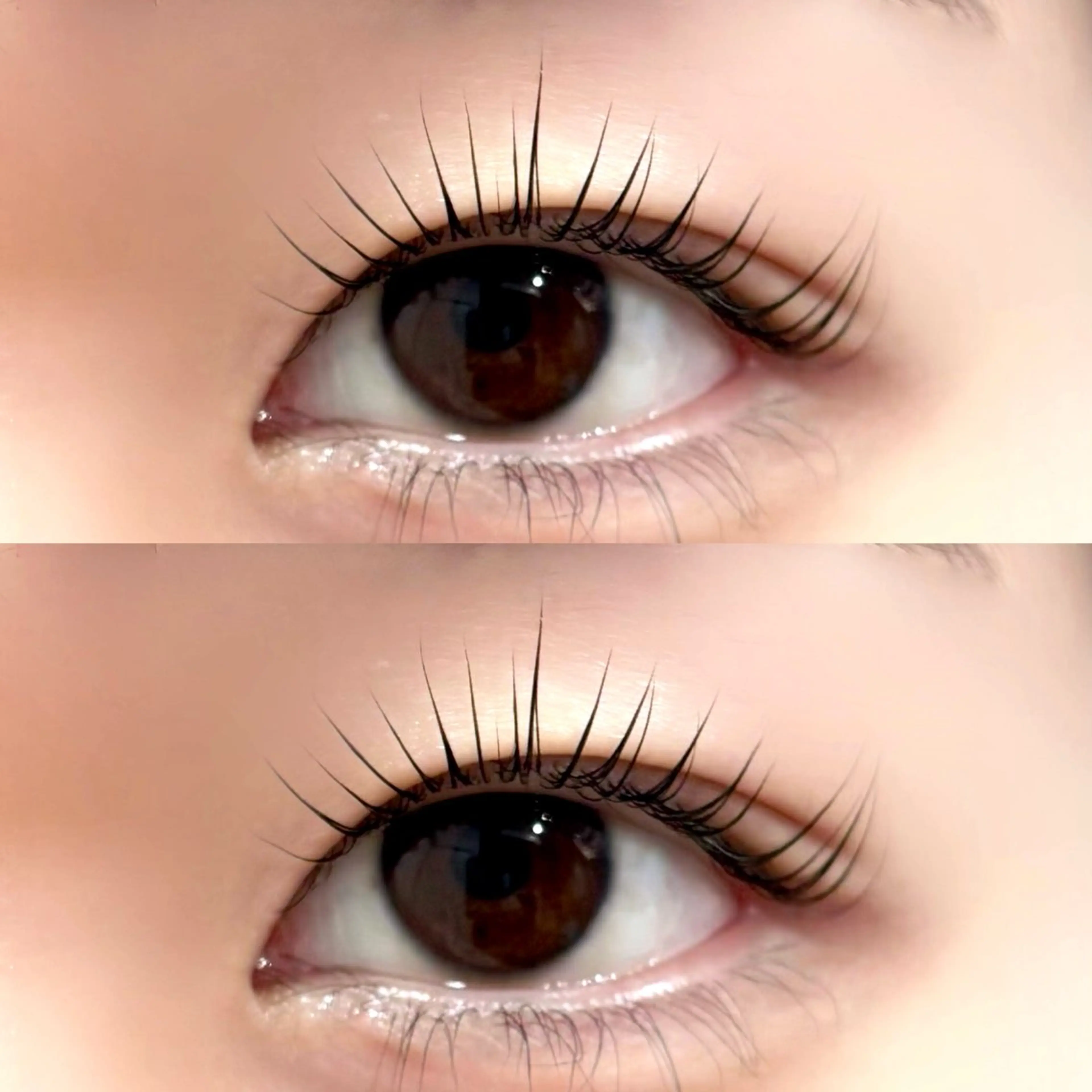 マツエク・マツパ Lupines Asahi🔆のマツエク・マツパデザイン