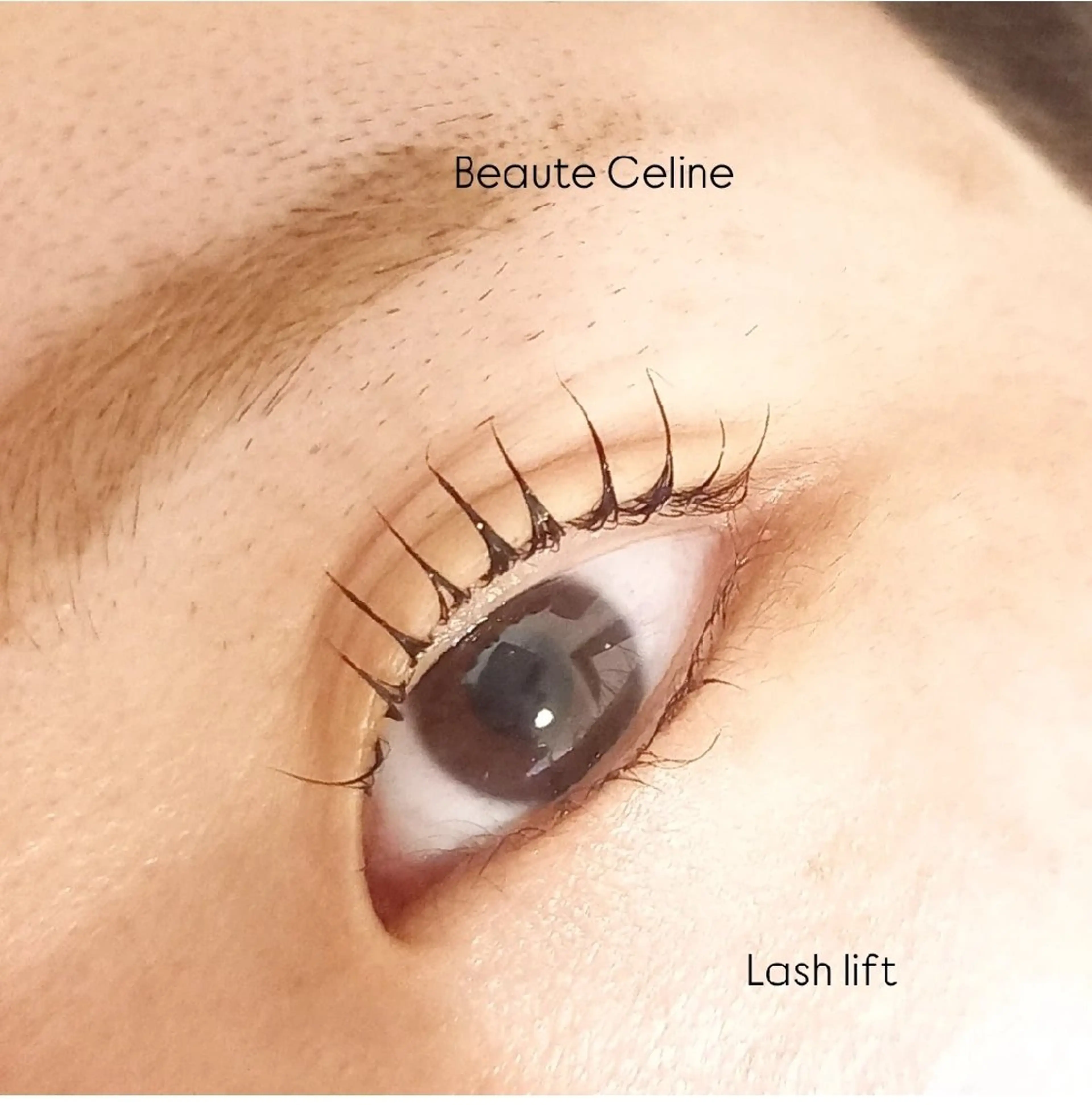 マツエク・マツパ マツパ beaute.celine所属・ぱっちりパーマ🤎 ﾎﾞｰﾃCelineのマツエク・マツパデザイン