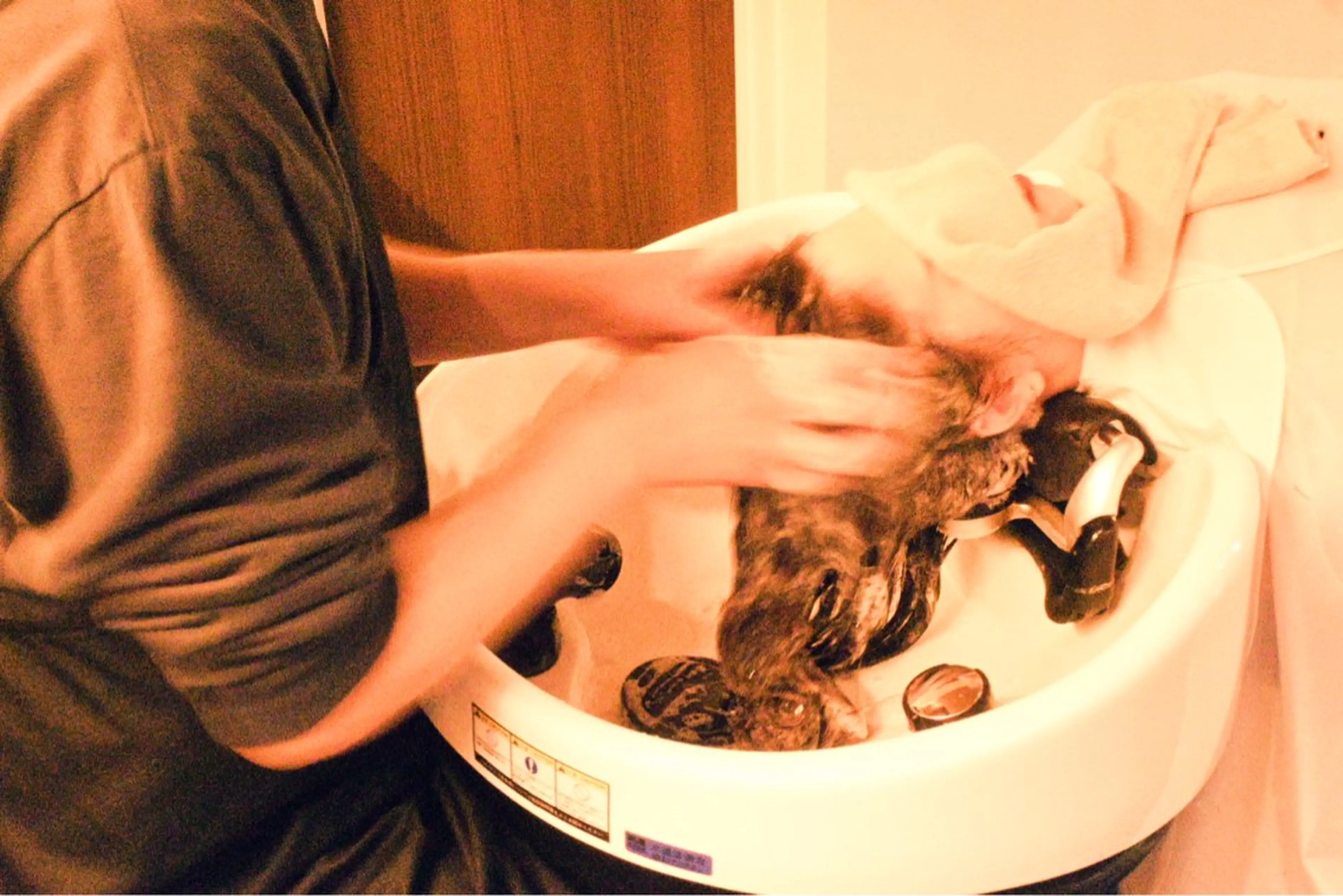 シャンプー好きのためのシャンプーコース誕生の写真