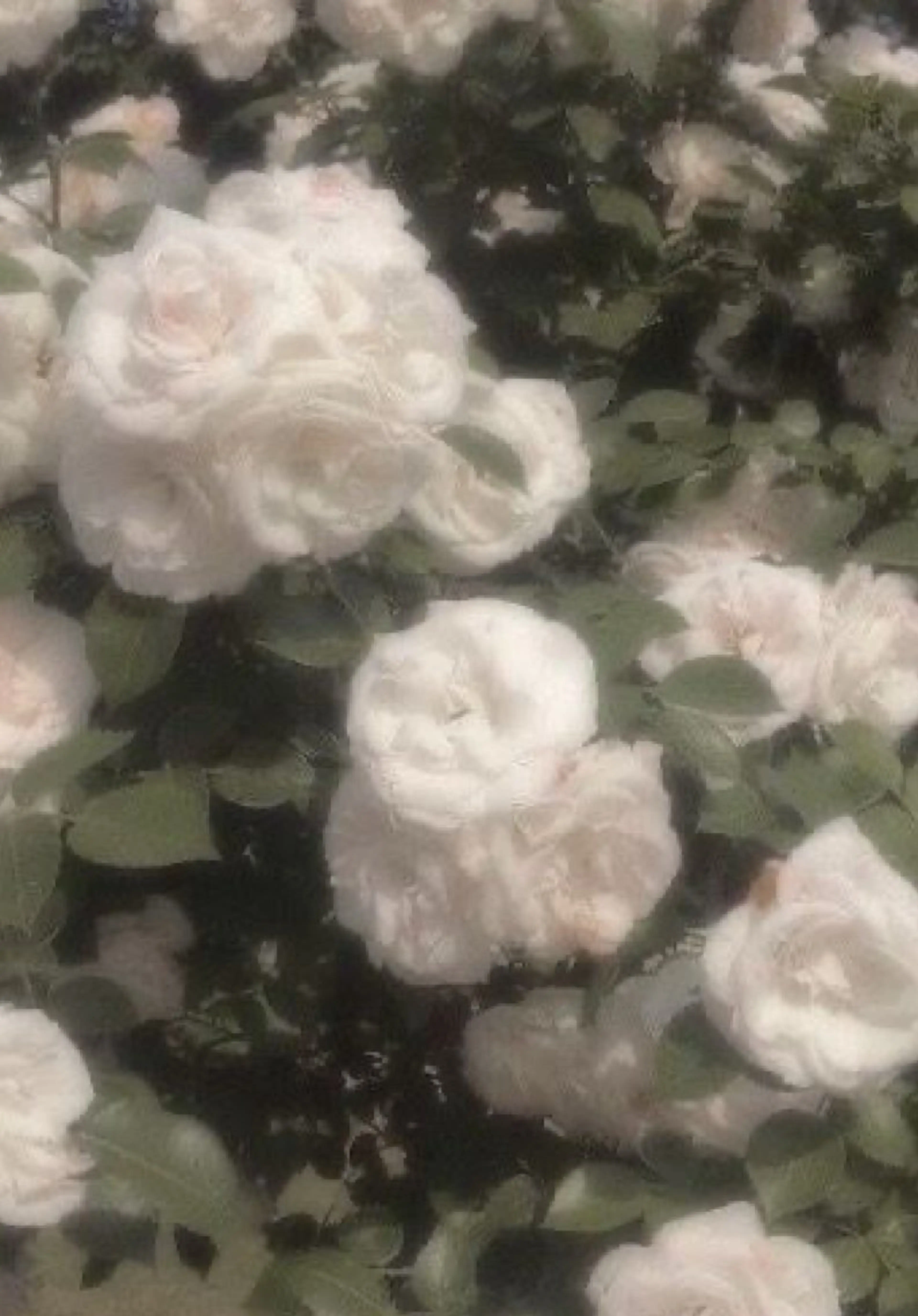 縮毛モデル募集中🫐 Ramu 🥣のヘアスタイル