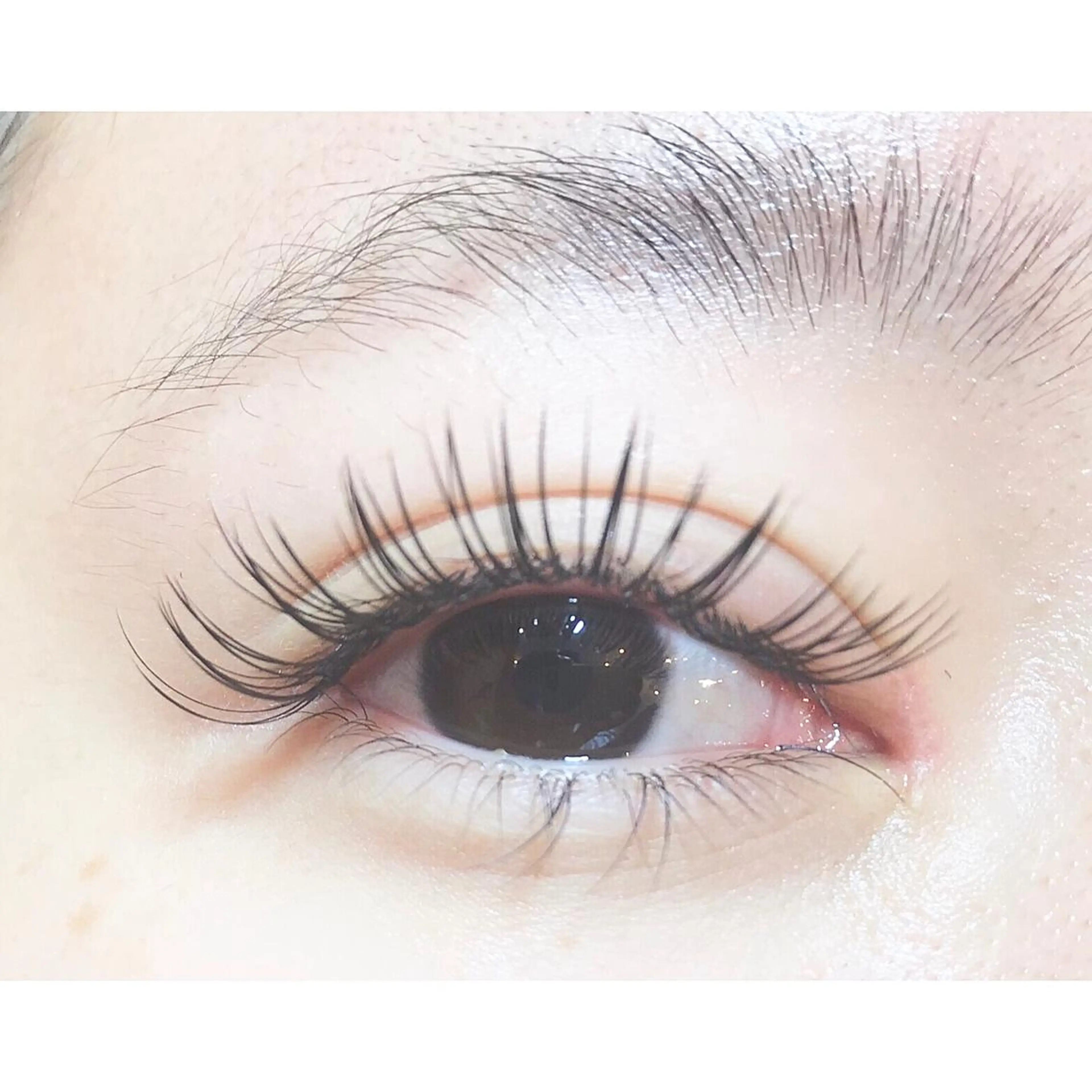 マツエク・マツパ étora eye渋谷のマツエク・マツパデザイン