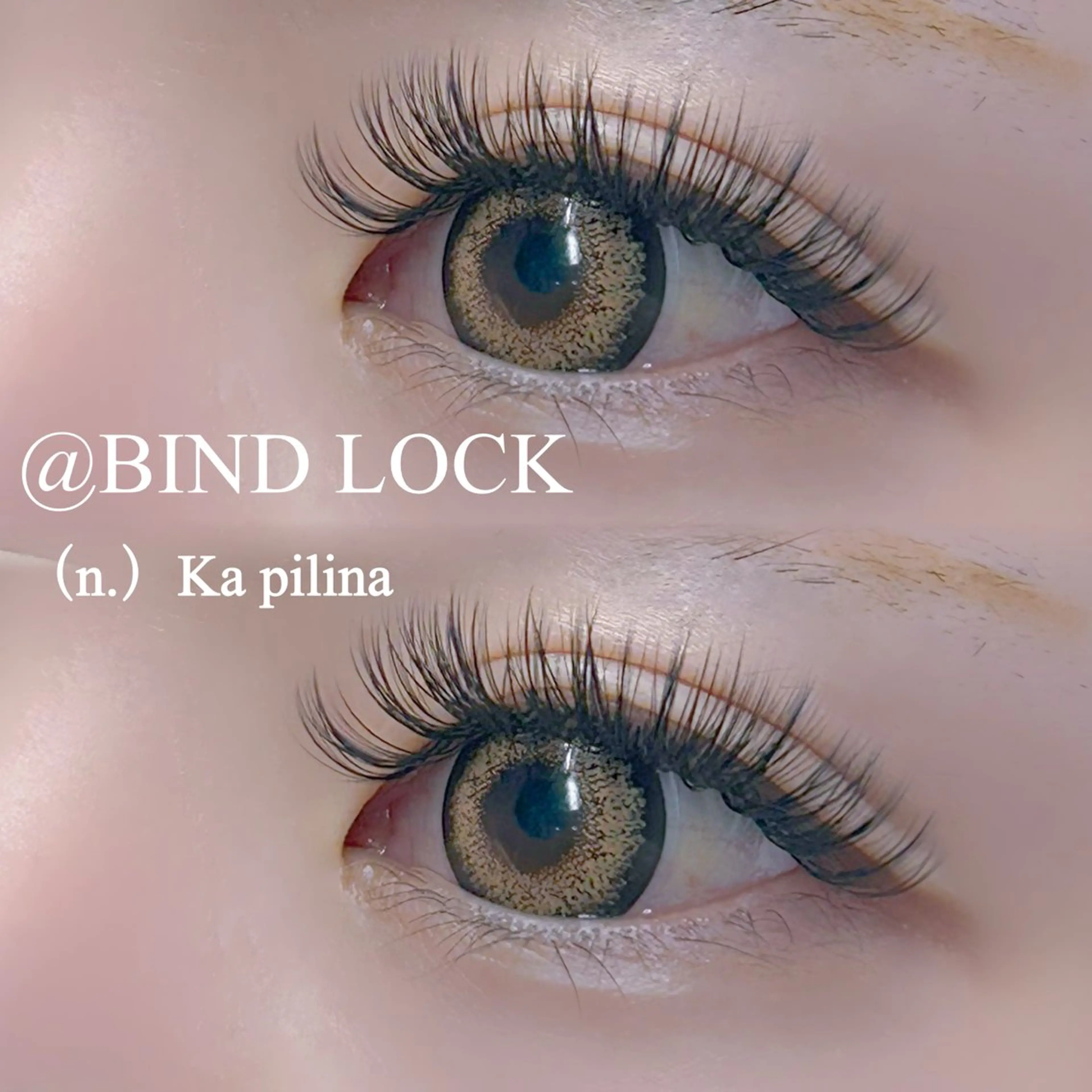 【ボリューム×フラット】バインドロック60束の写真