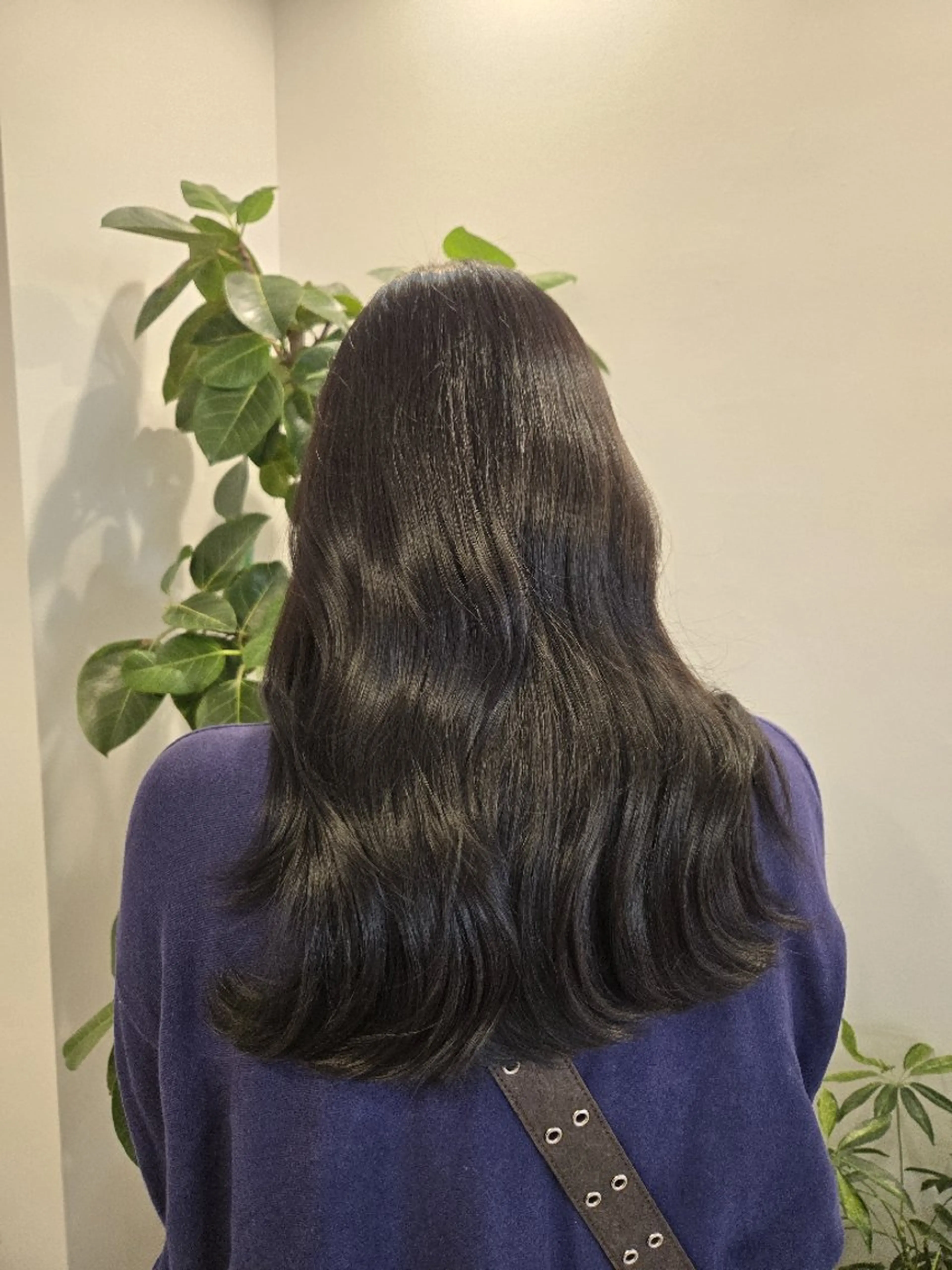 one color➕TOKIO 2step treatment🪽の写真