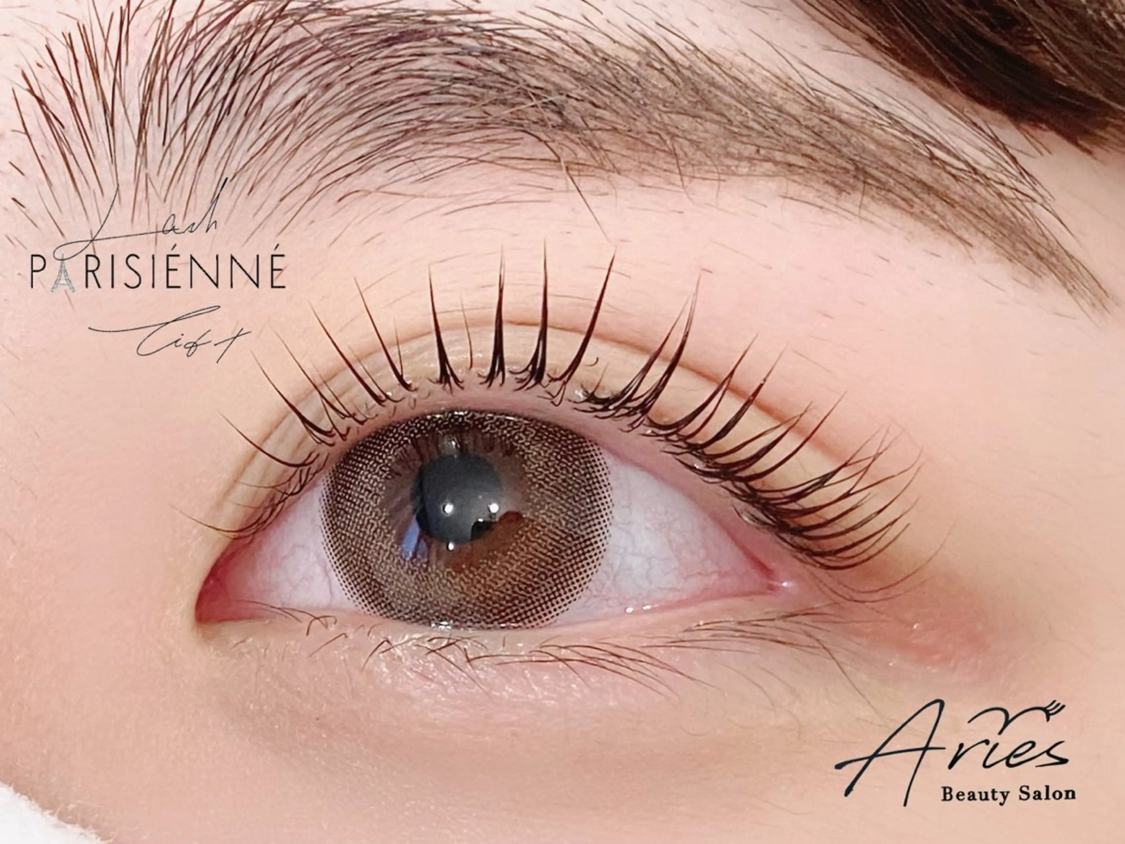 パリジェンヌラッシュリフト上のみの写真