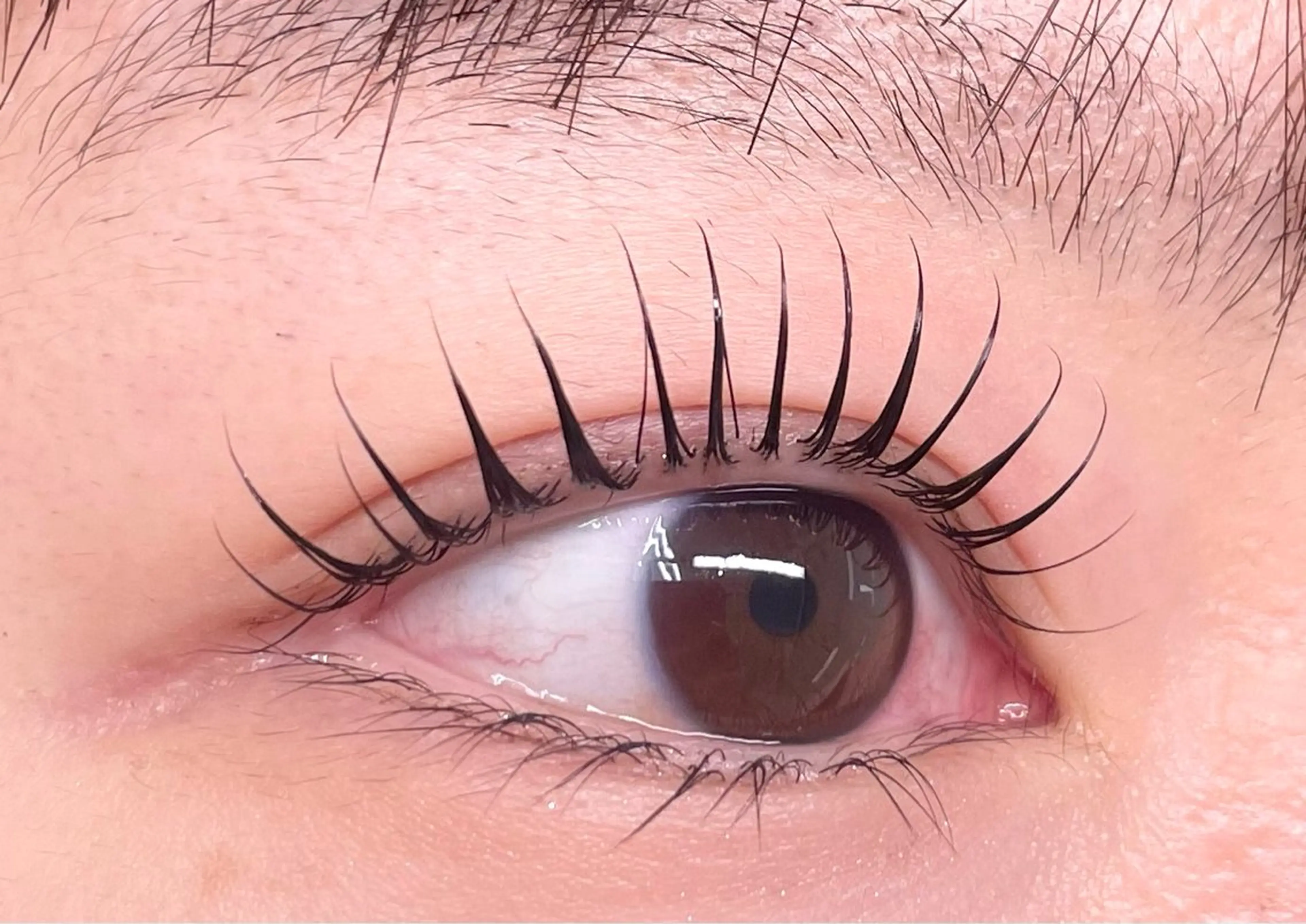 マツエク・マツパ glitter 京橋駅徒歩 1分のその他イメージ