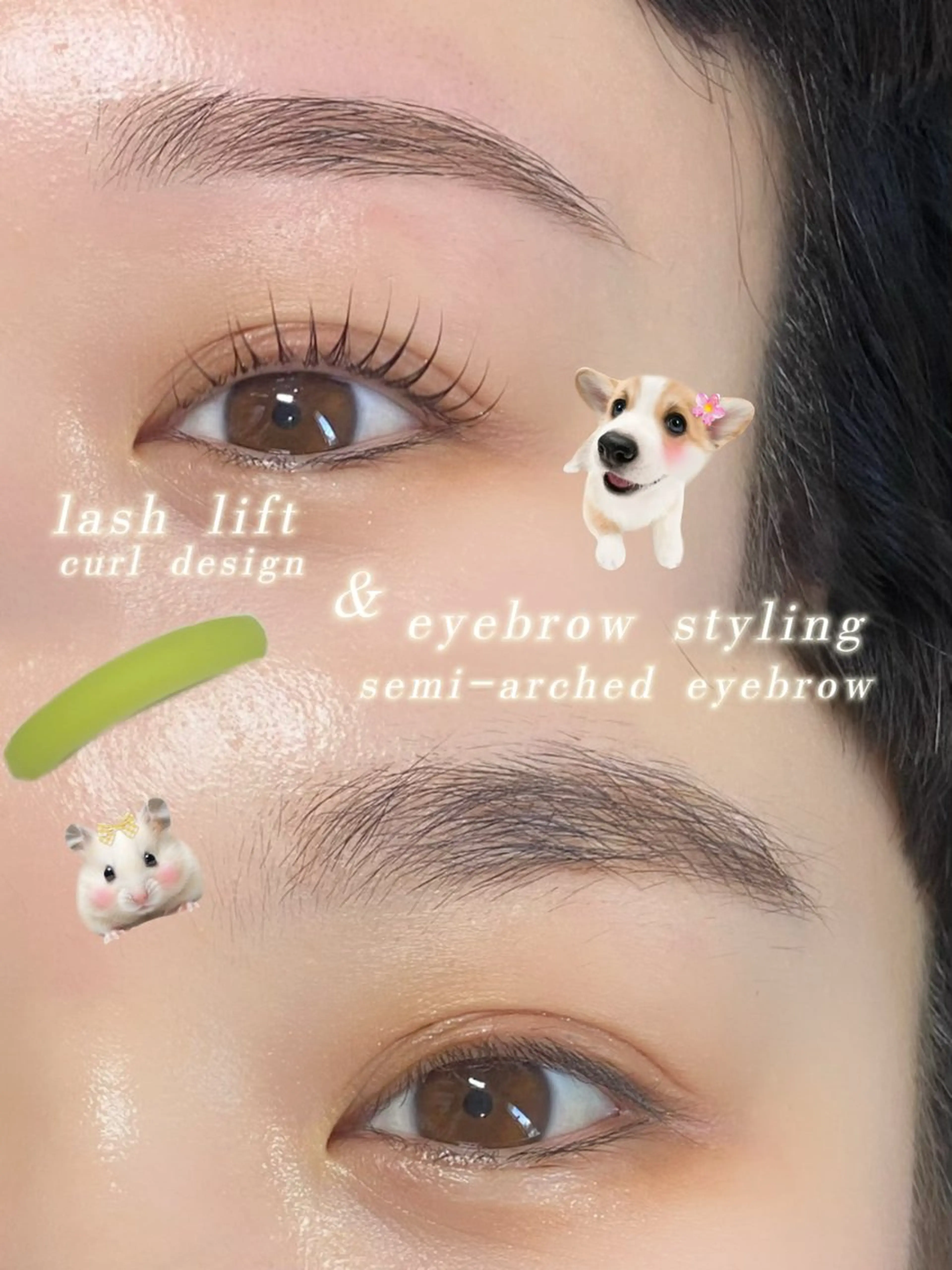 11月限定💫パリジェンヌ/デザインラッシュリフト+アイブロウスタイリング/眉毛ワックス（間引き、カット込み）の写真