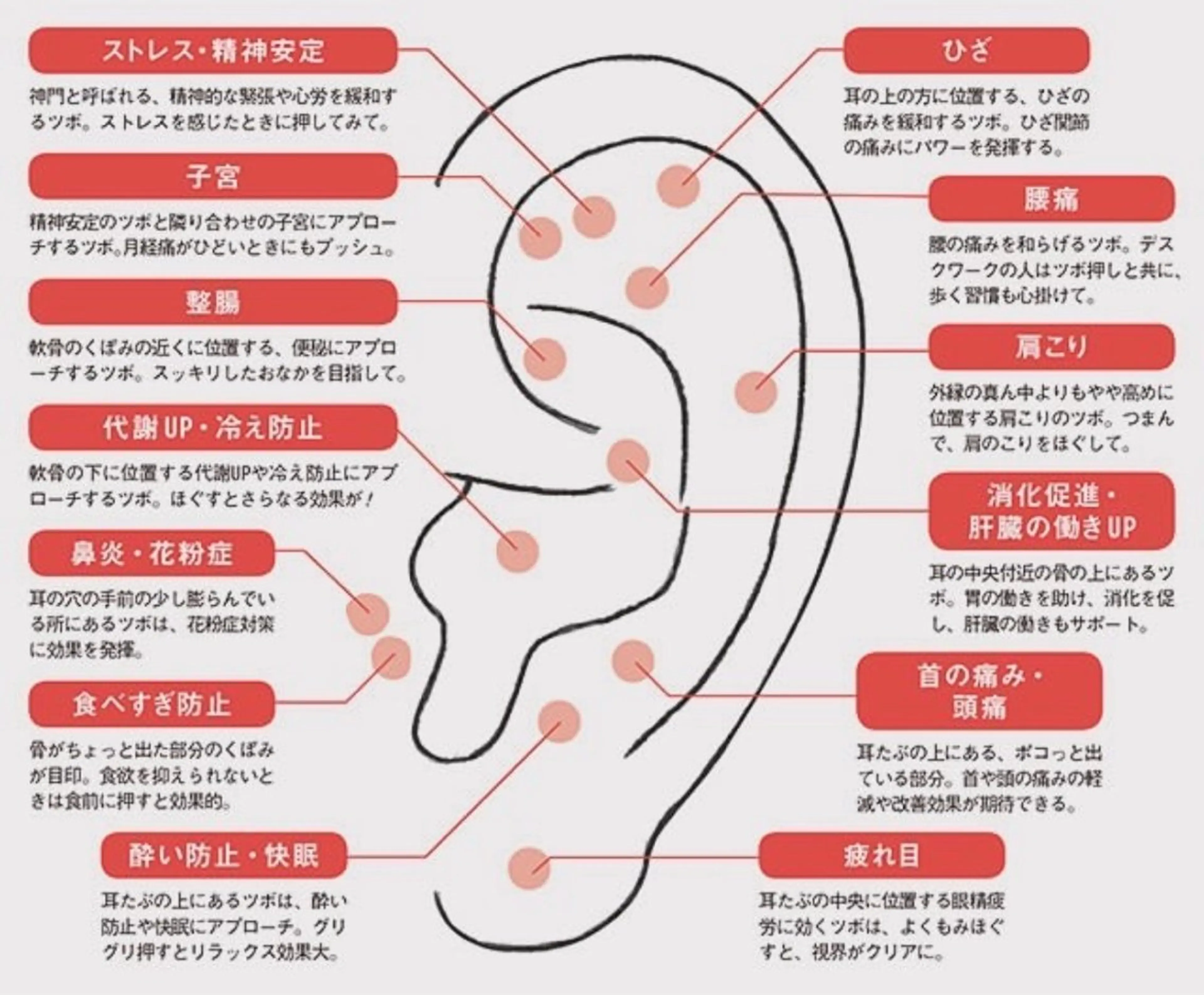 BavardageNail所属・Bavardage Nailのネイルデザイン