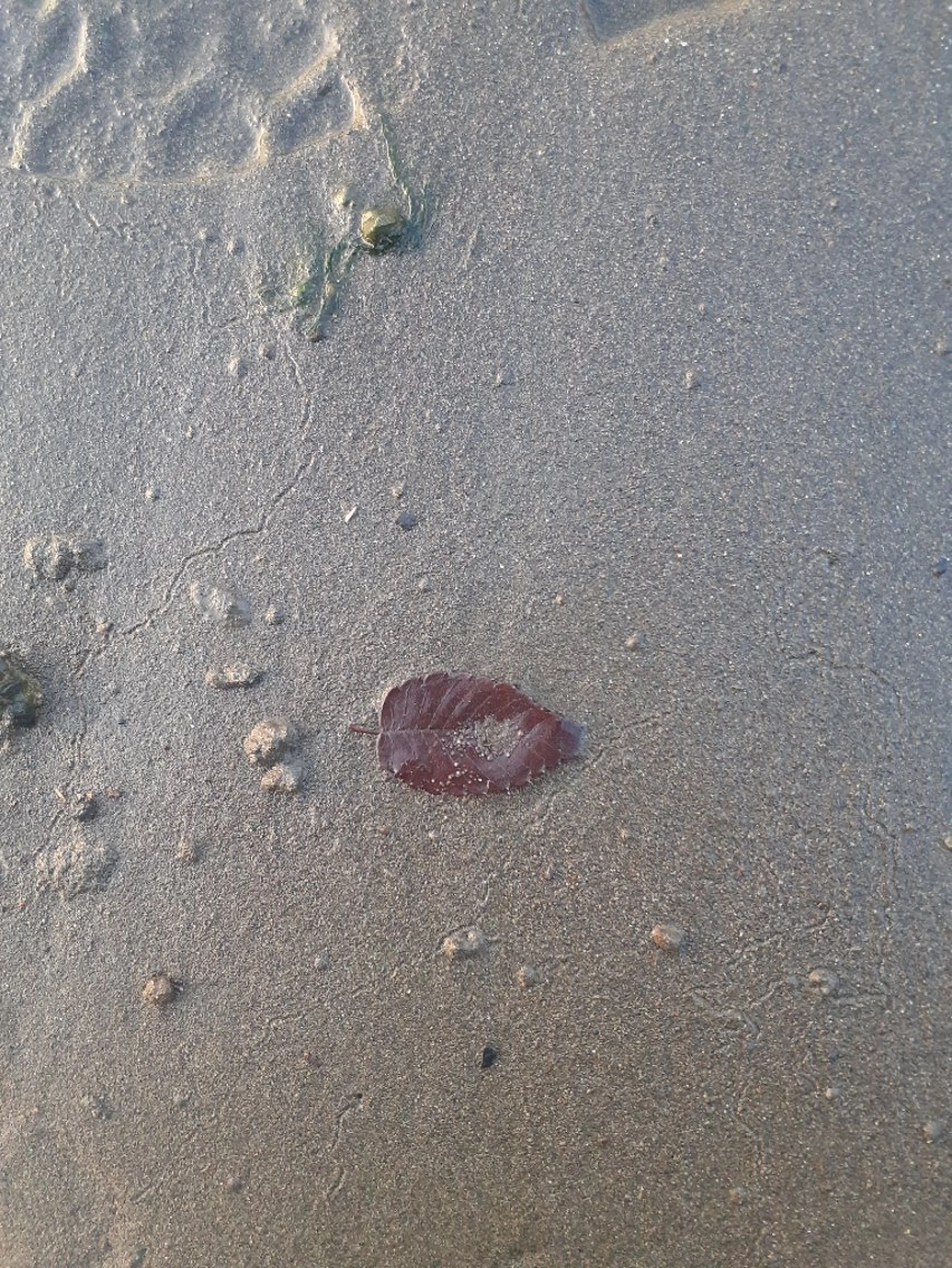 千の樹所属・久保・女性専用 美咲のエステ・リラクイメージ