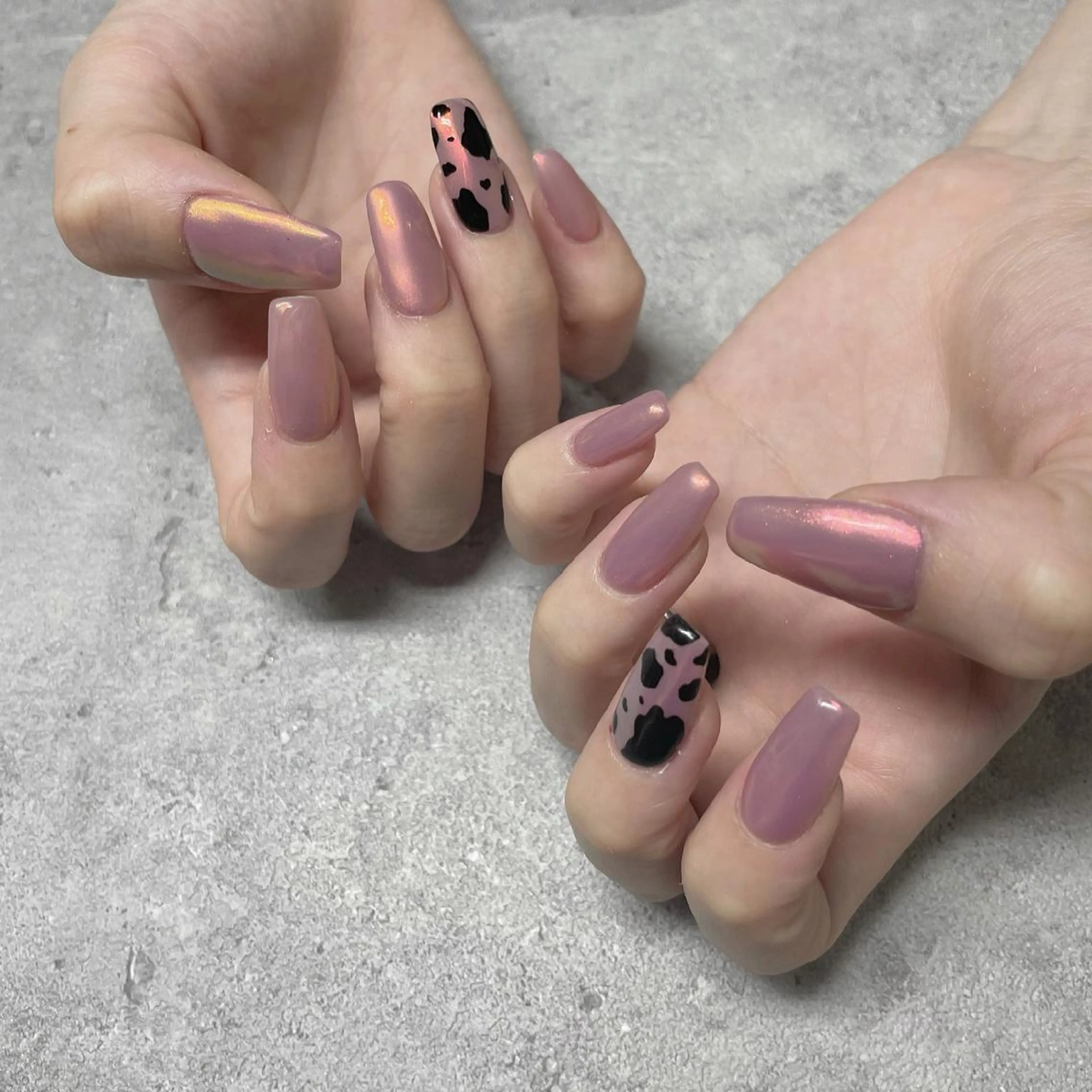 2本デザイン コースの写真