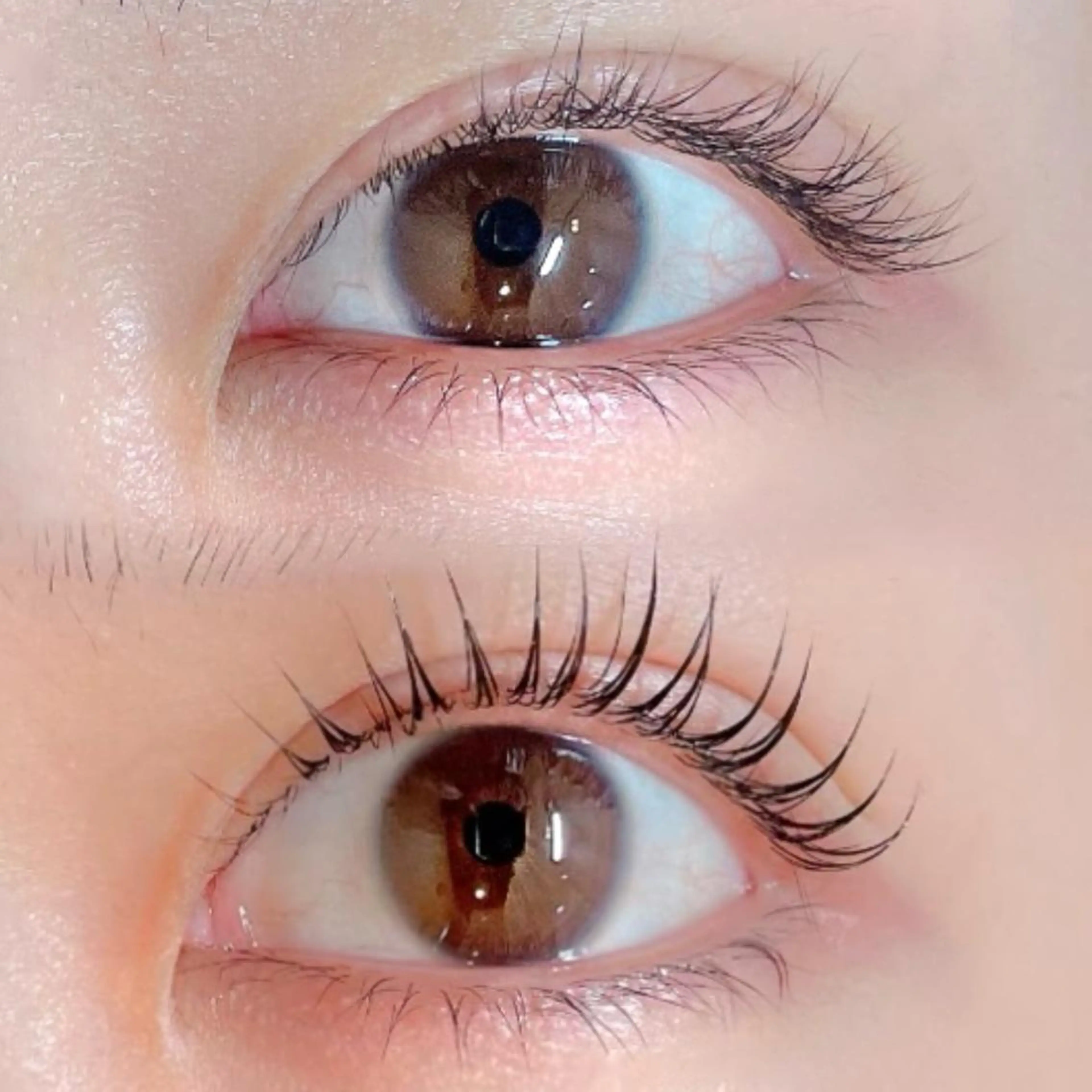 マツエク・マツパ 🎀銀座パリジェンヌ マツエクmomo🎀のマツエク・マツパデザイン